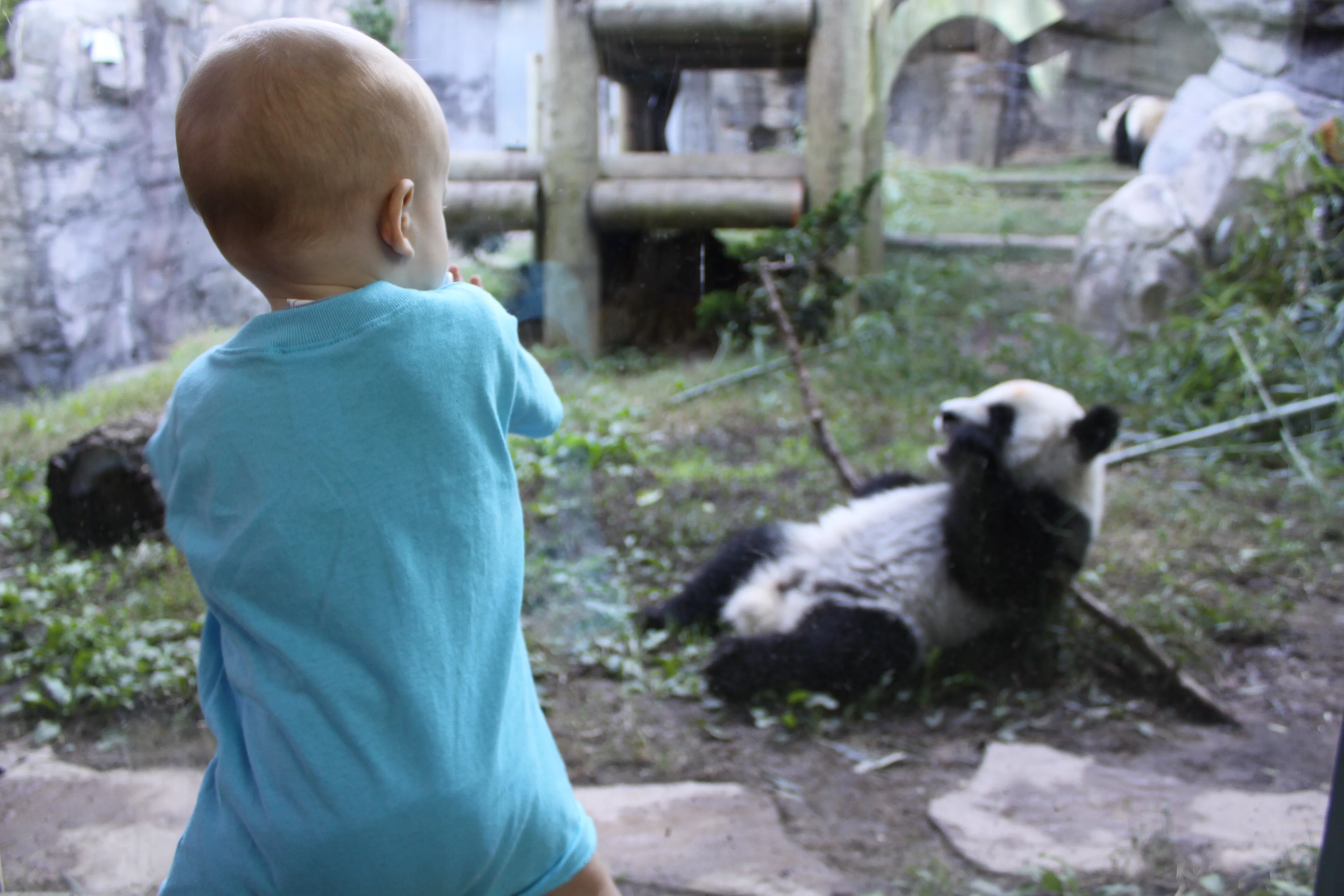 Zoo Atlanta