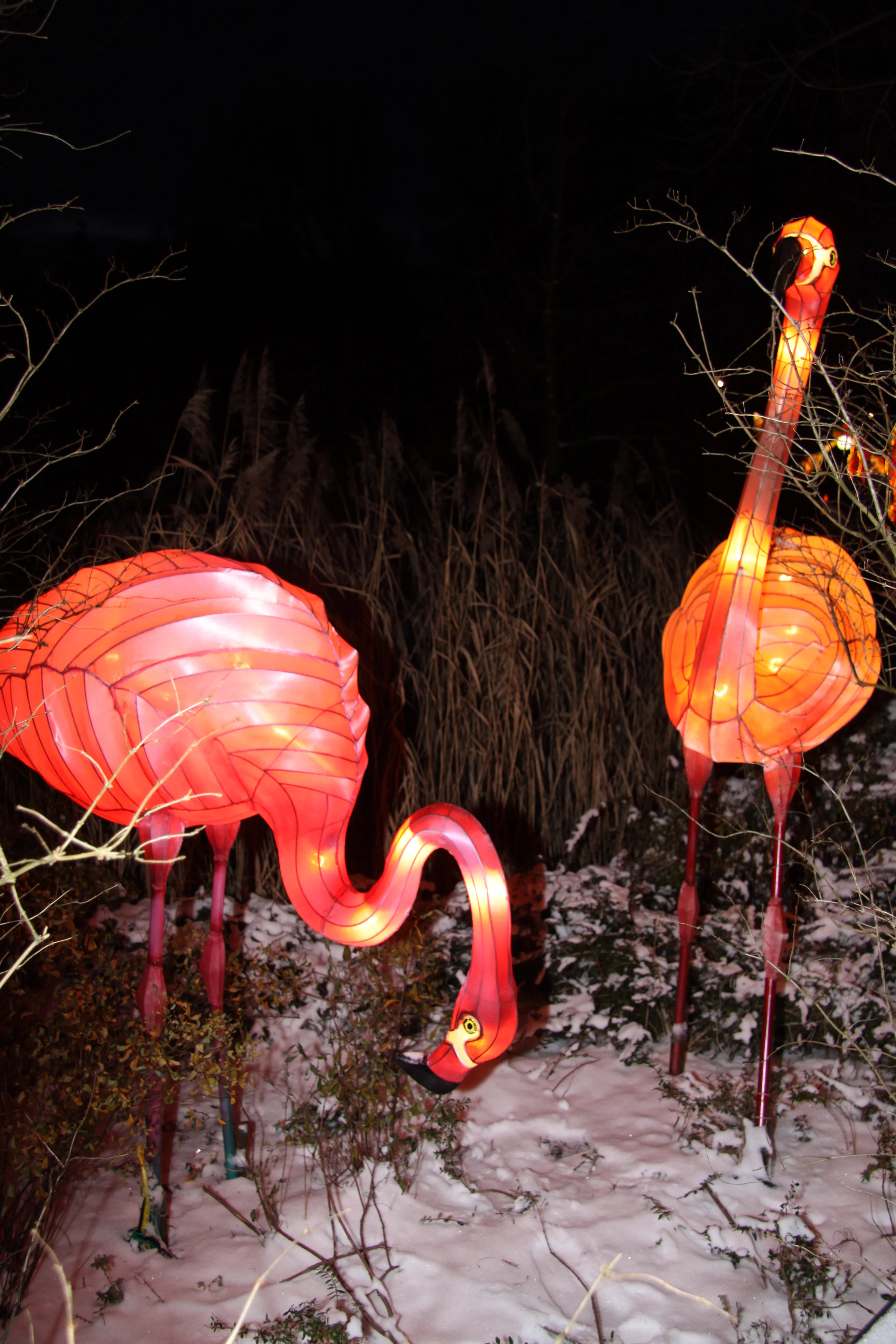 China Festival of Lights