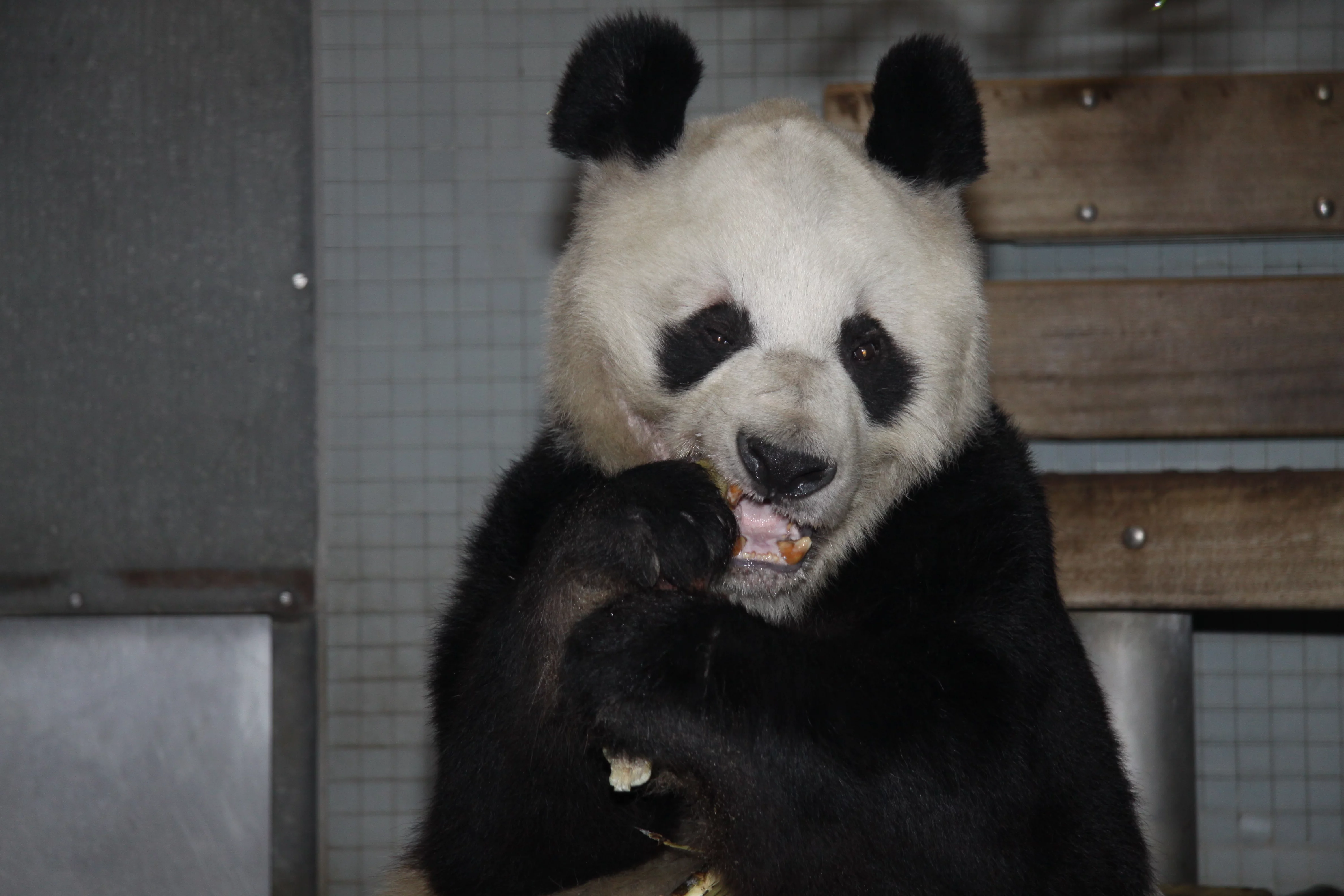 Zoo Berlin