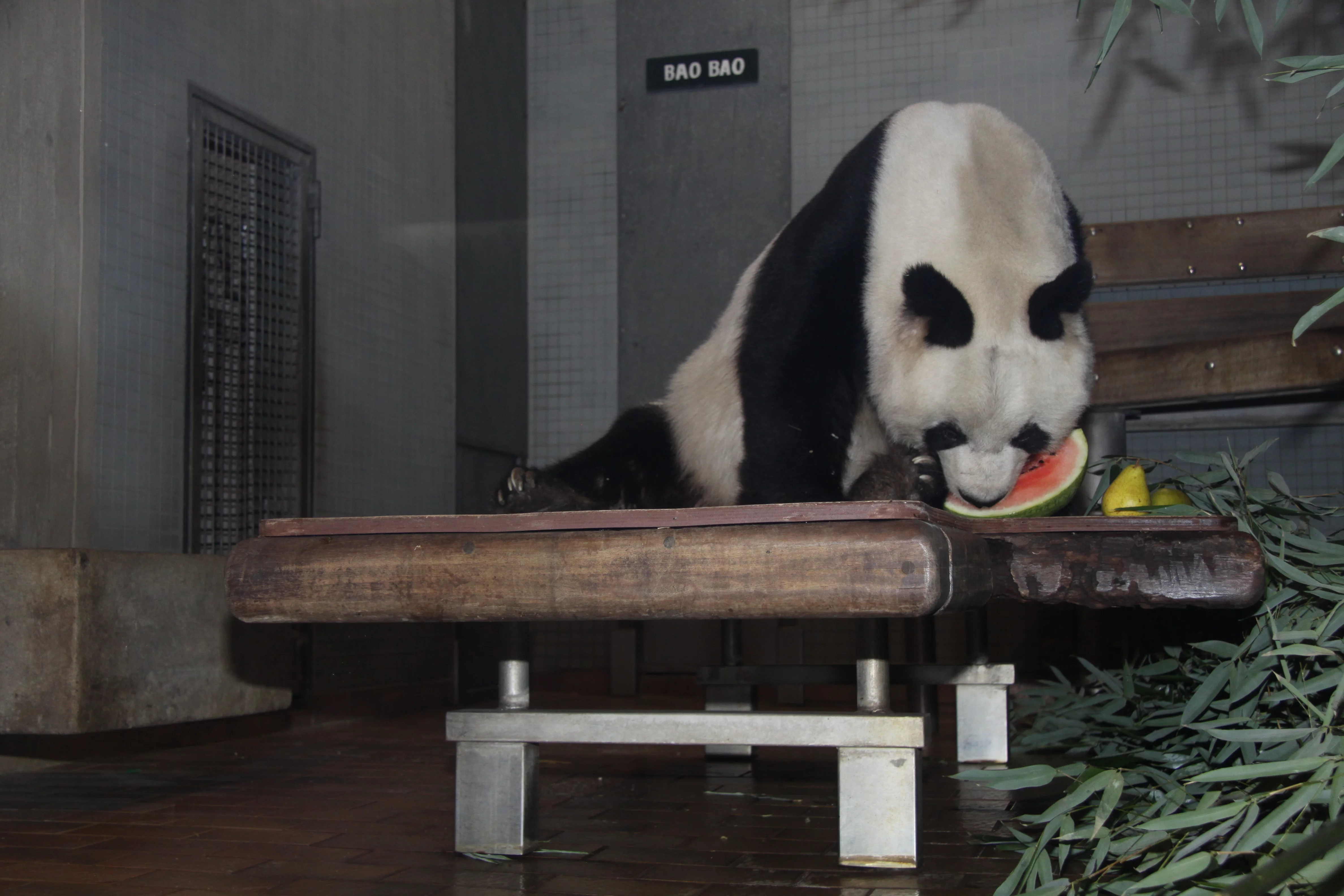 Zoo Berlin