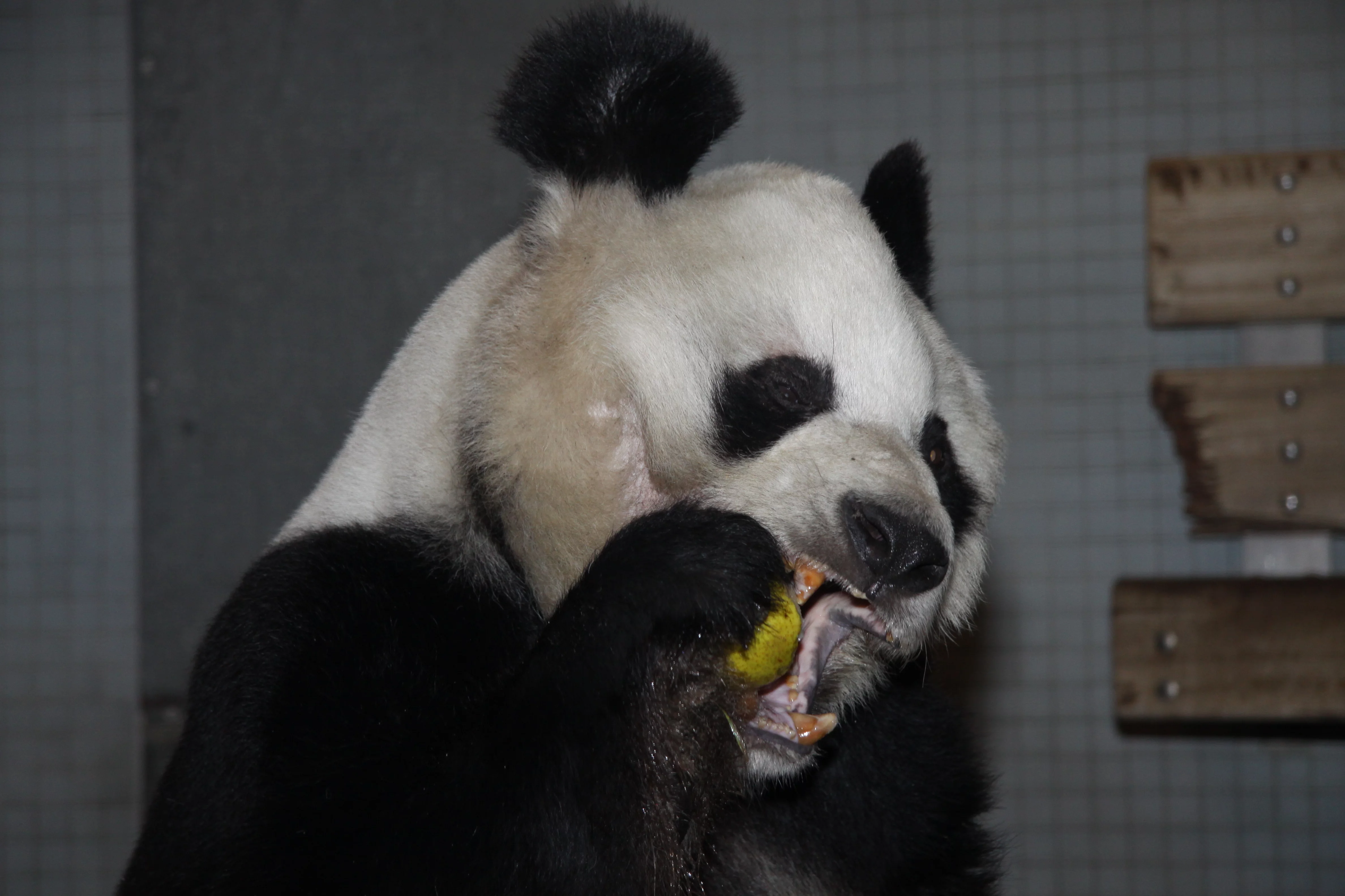 Zoo Berlin