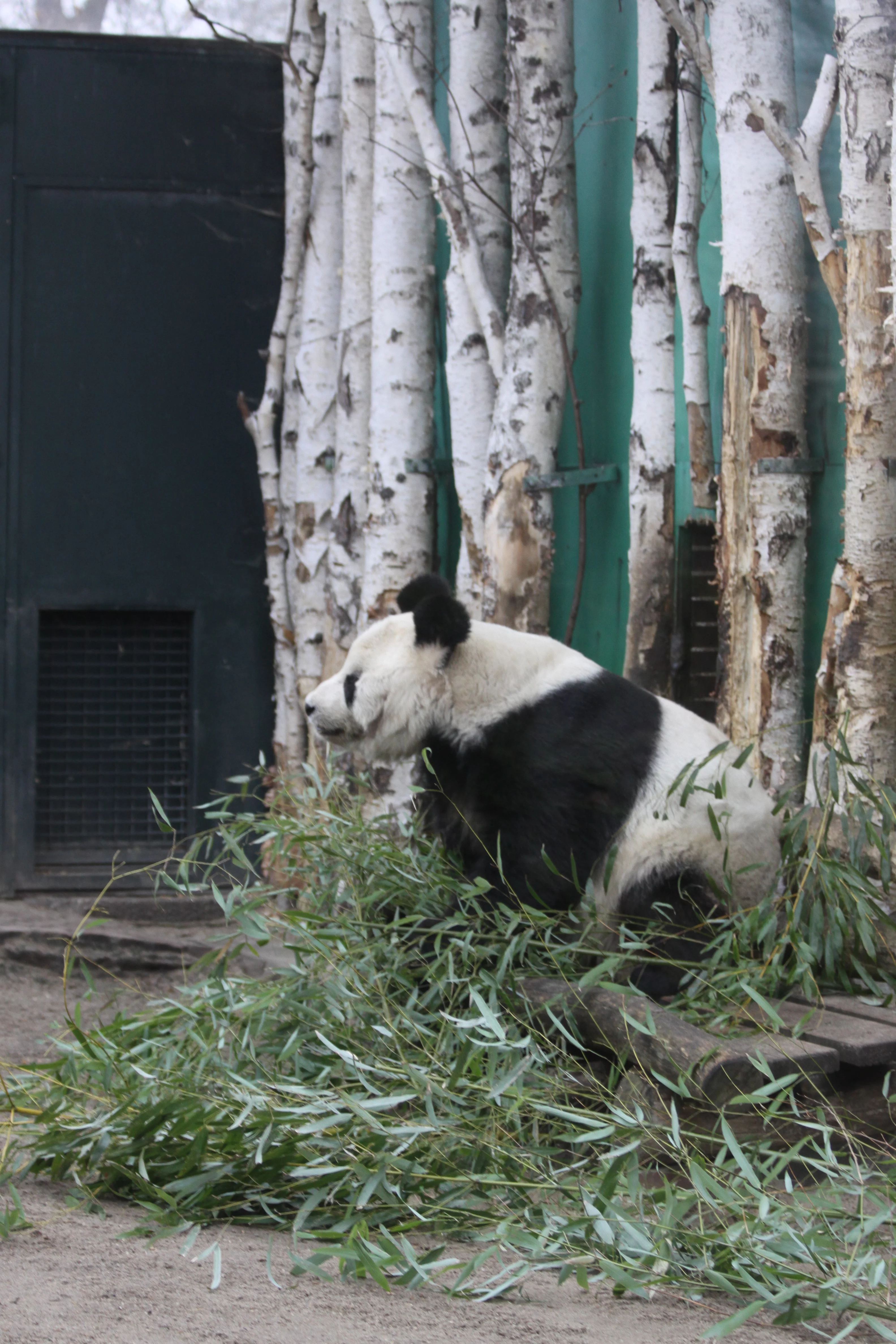 Zoo Berlin