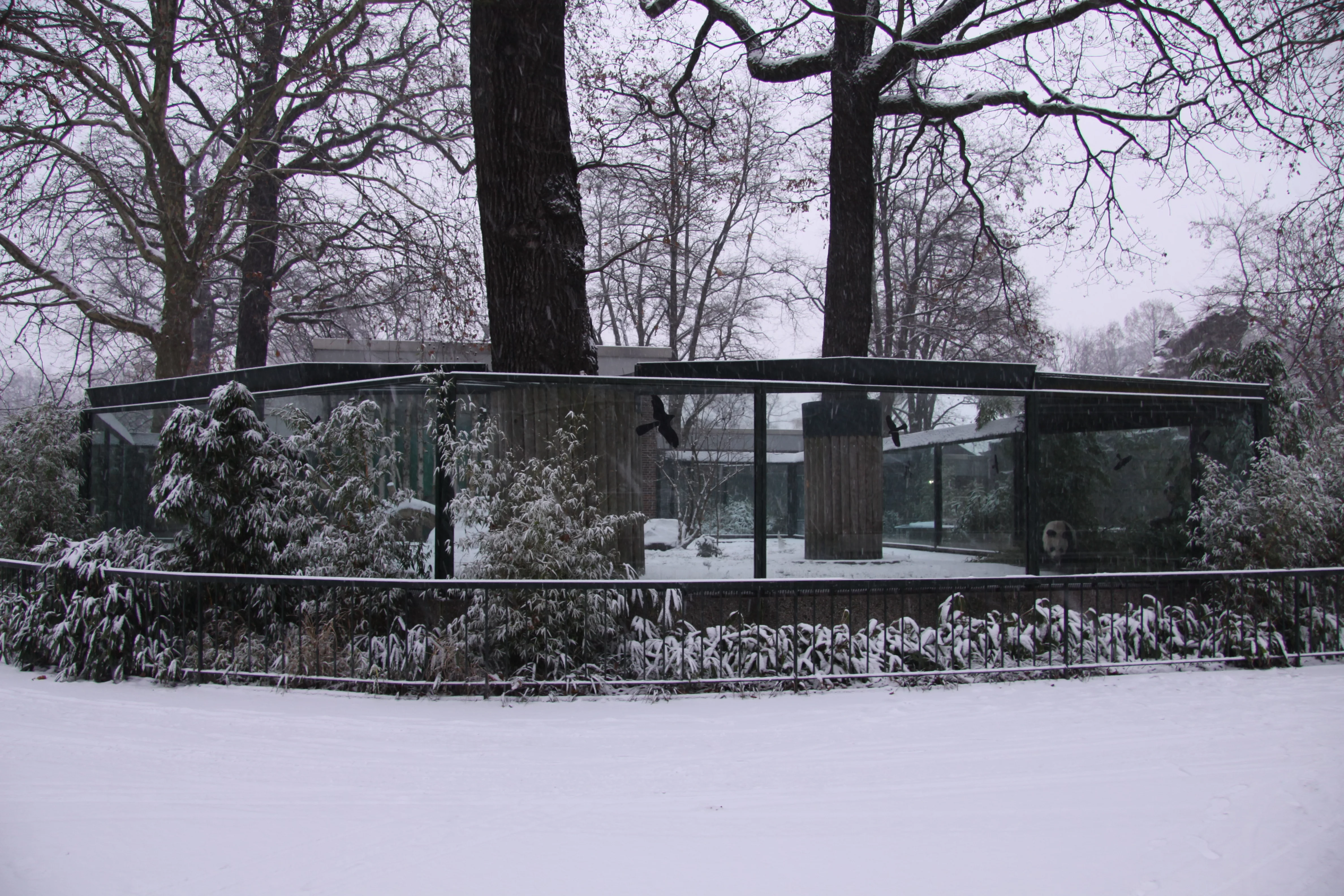 Zoo Berlin