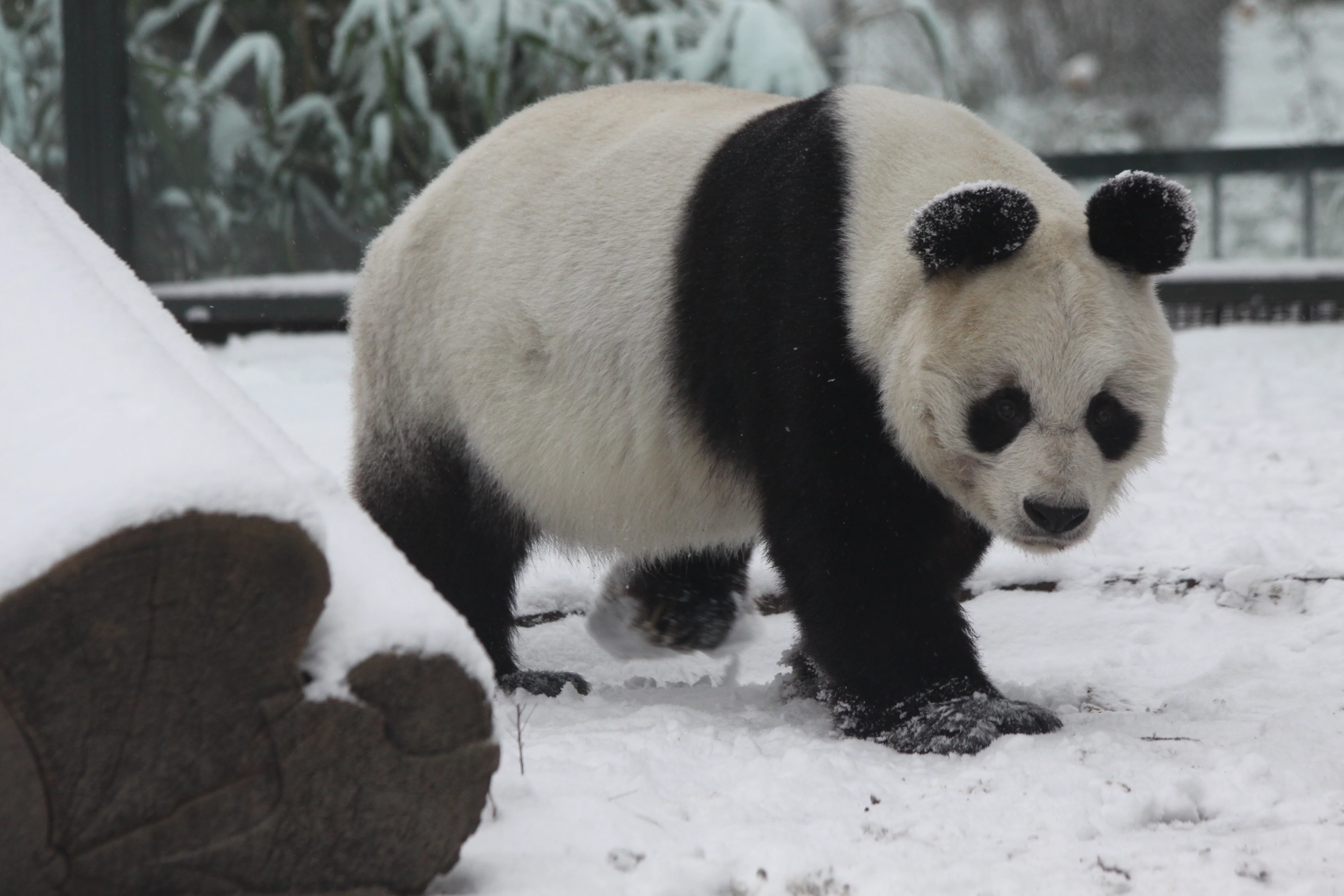 Zoo Berlin