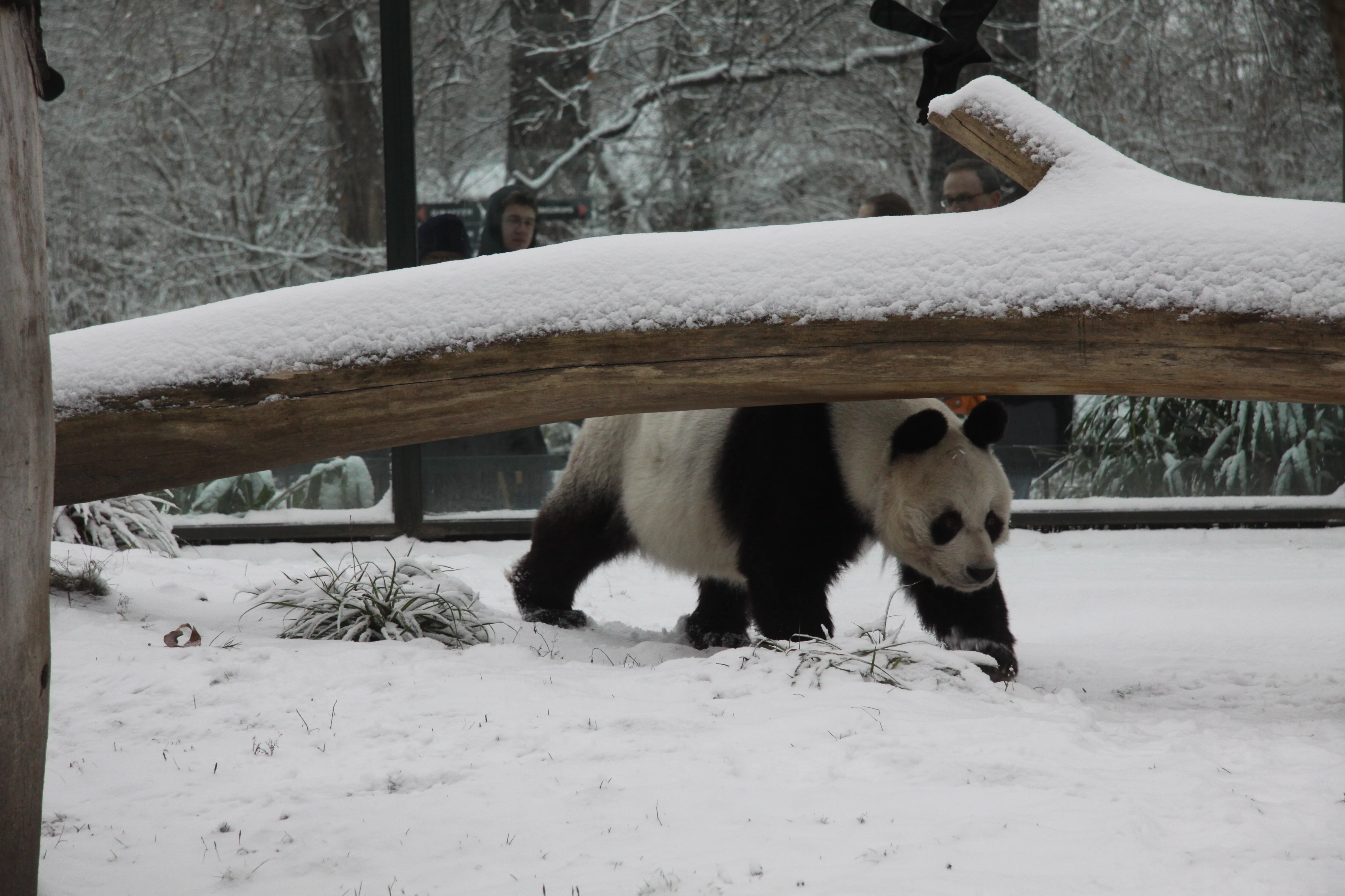 Zoo Berlin