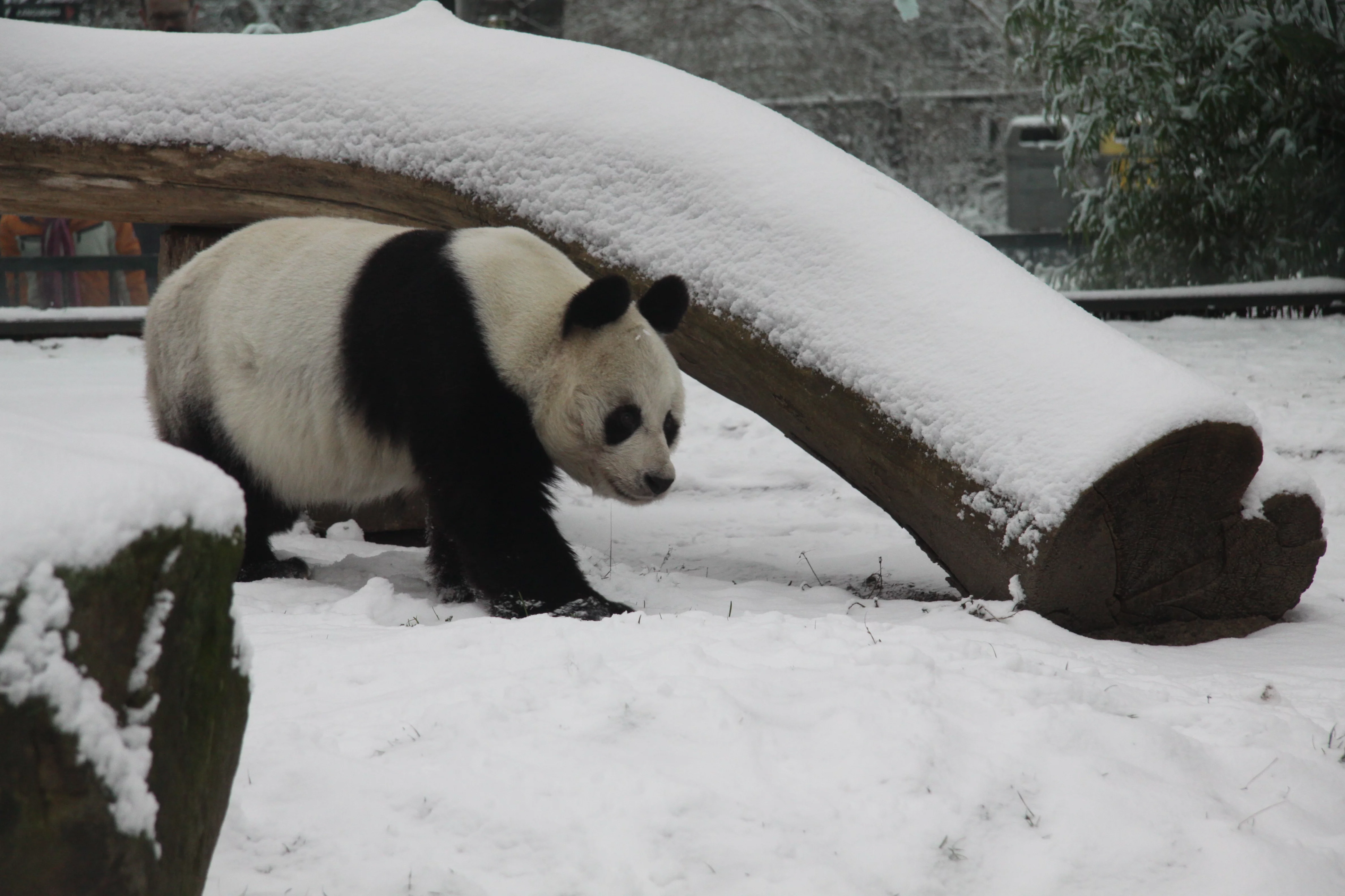 Zoo Berlin