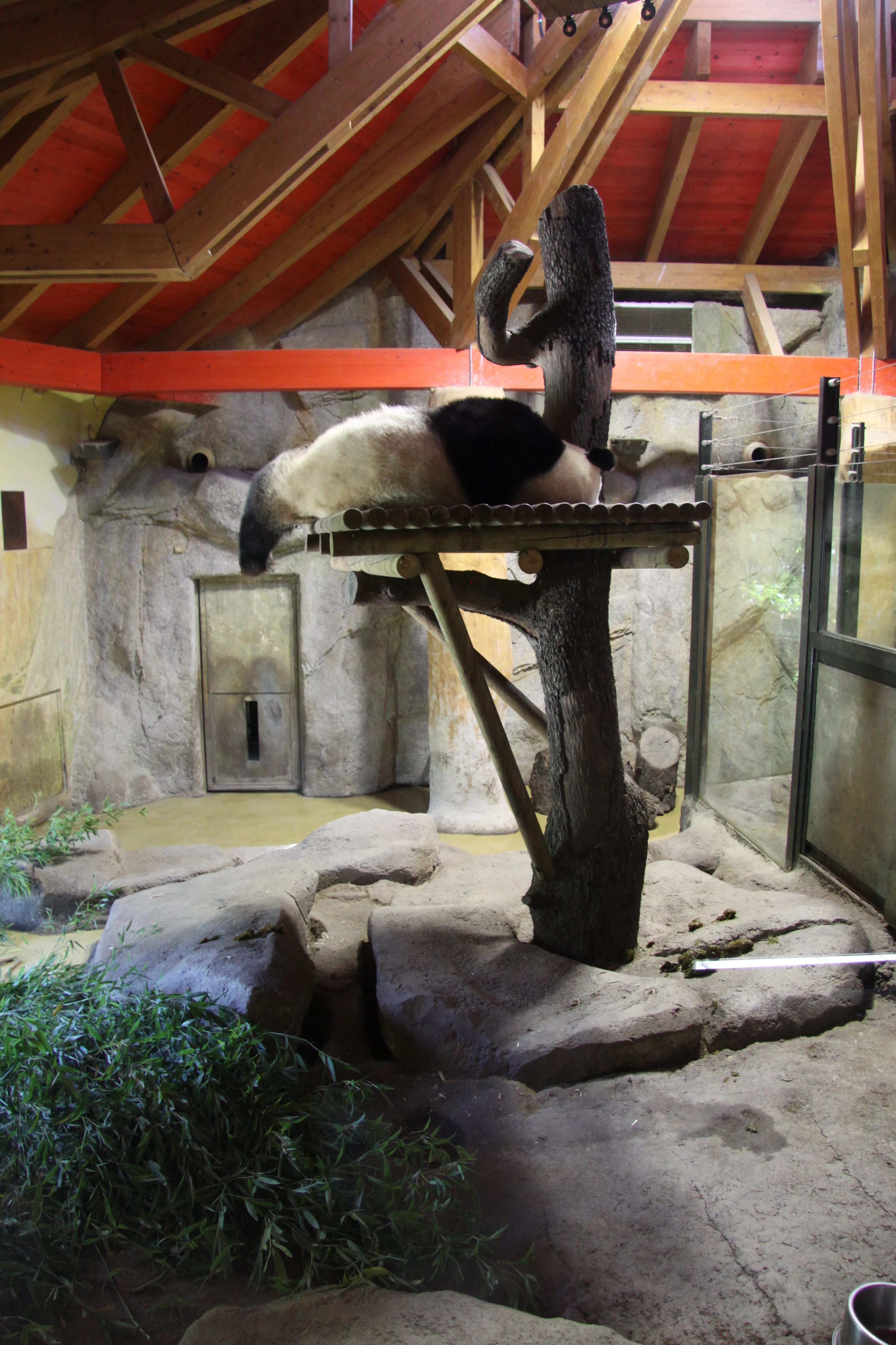 Zoo Madrid