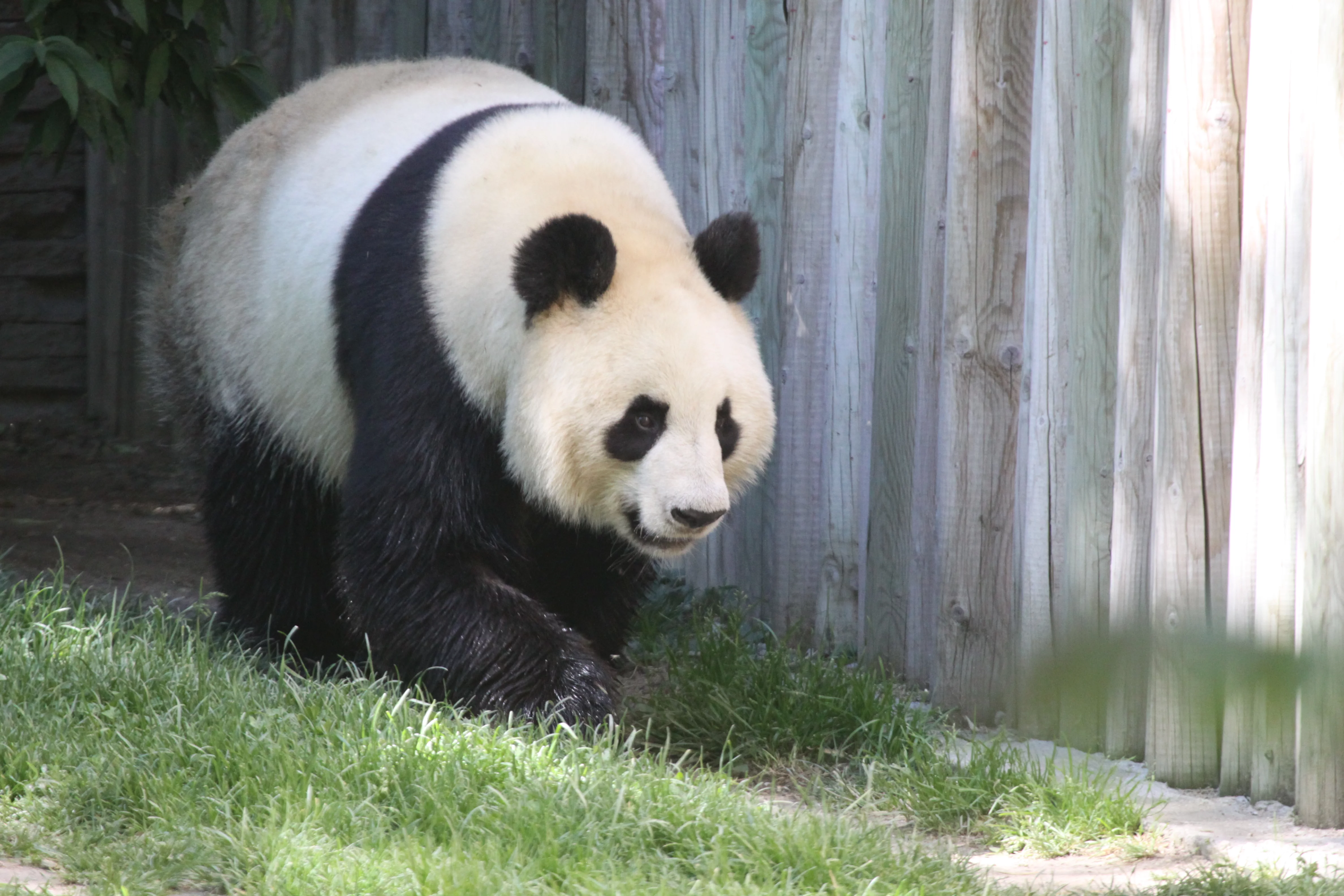 Zoo Madrid
