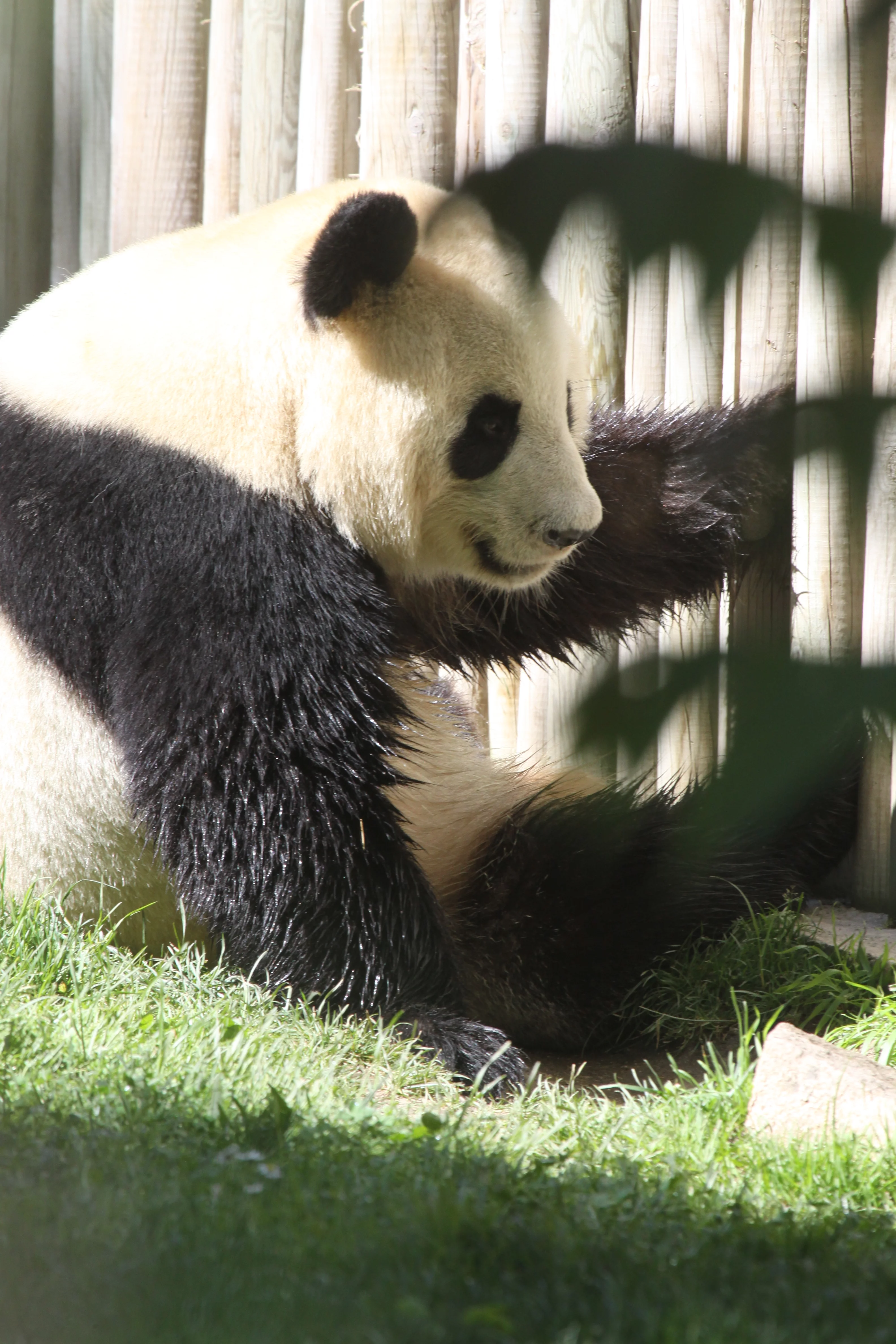 Zoo Madrid