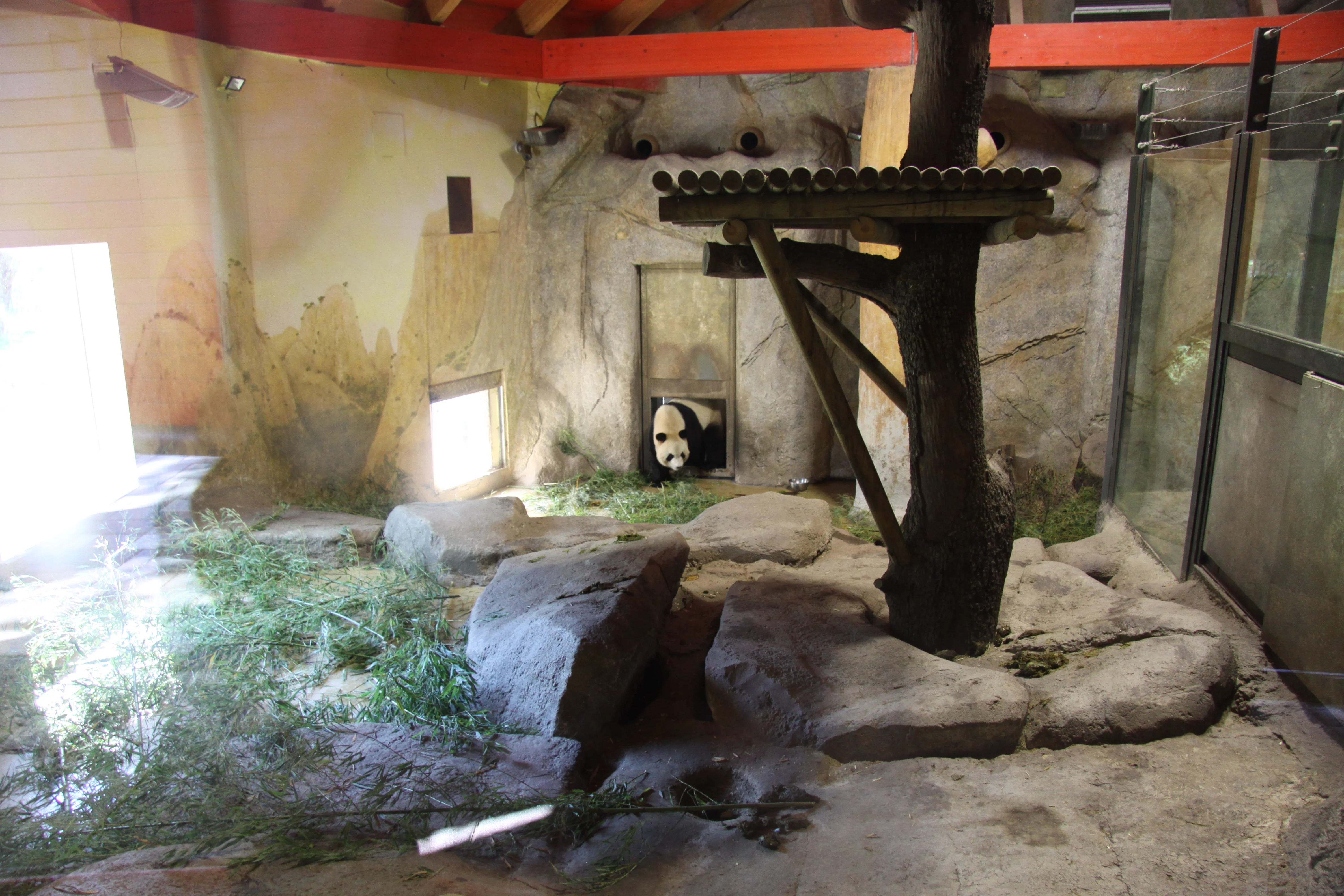 Zoo Madrid