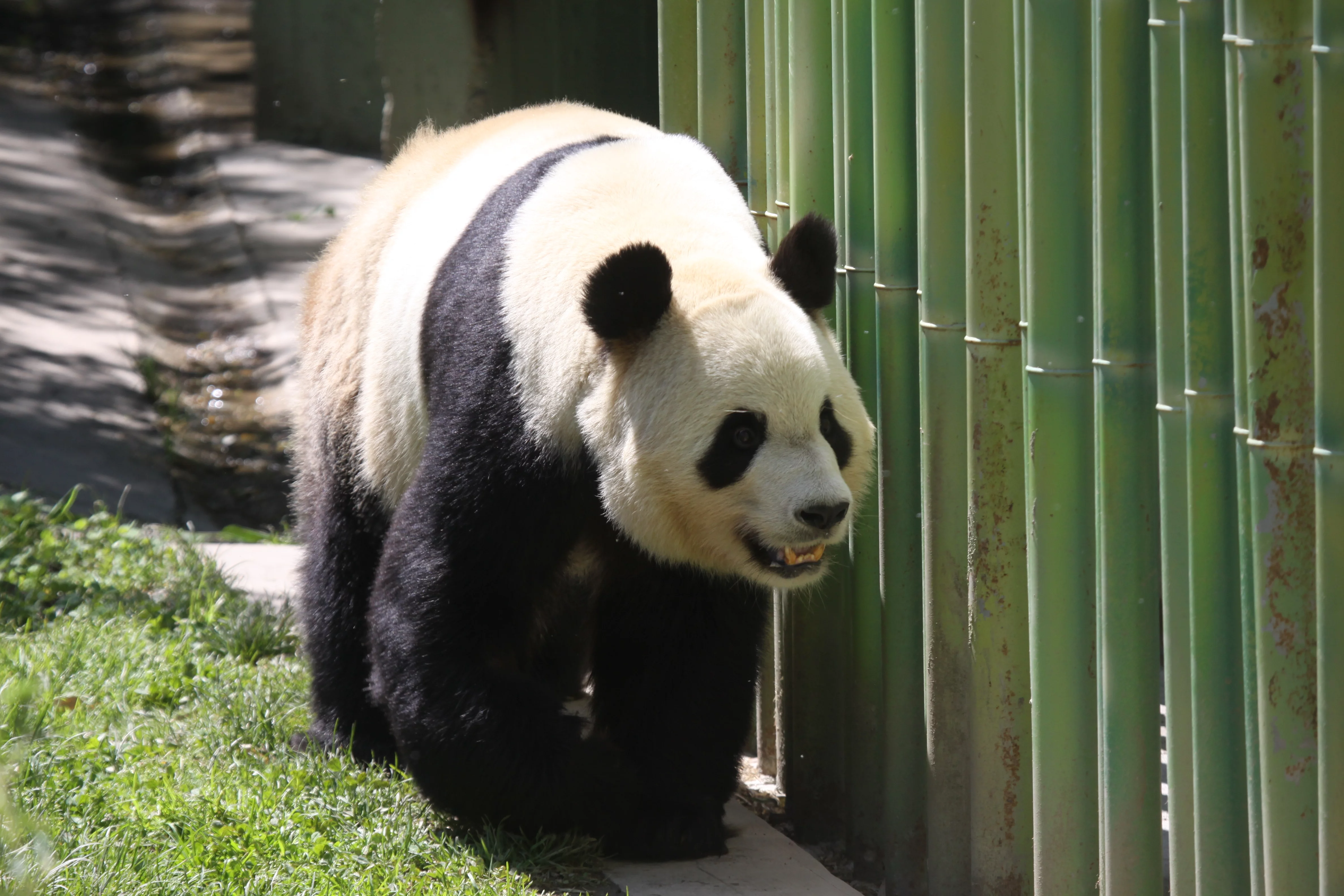 Zoo Madrid