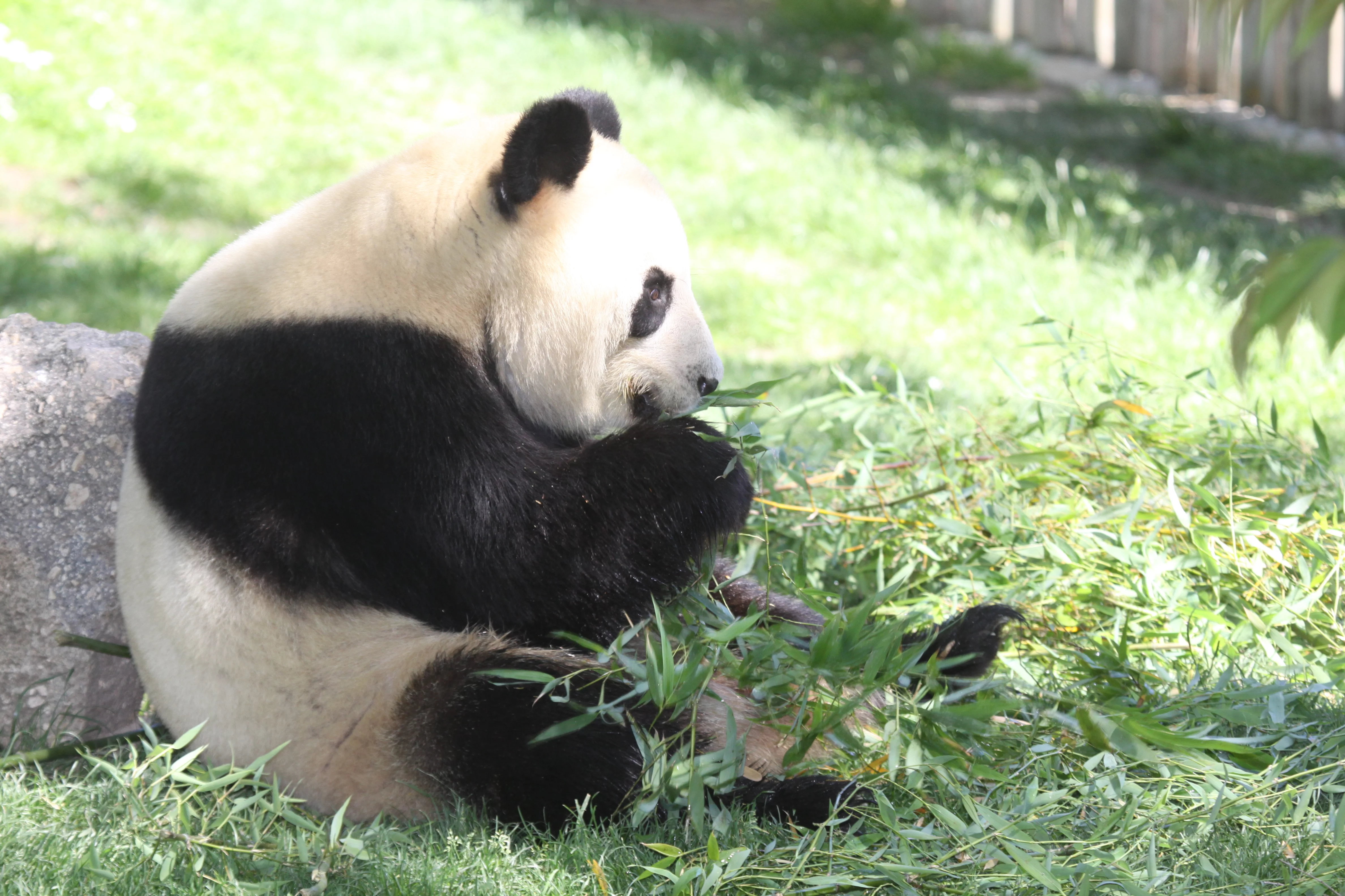 Zoo Madrid