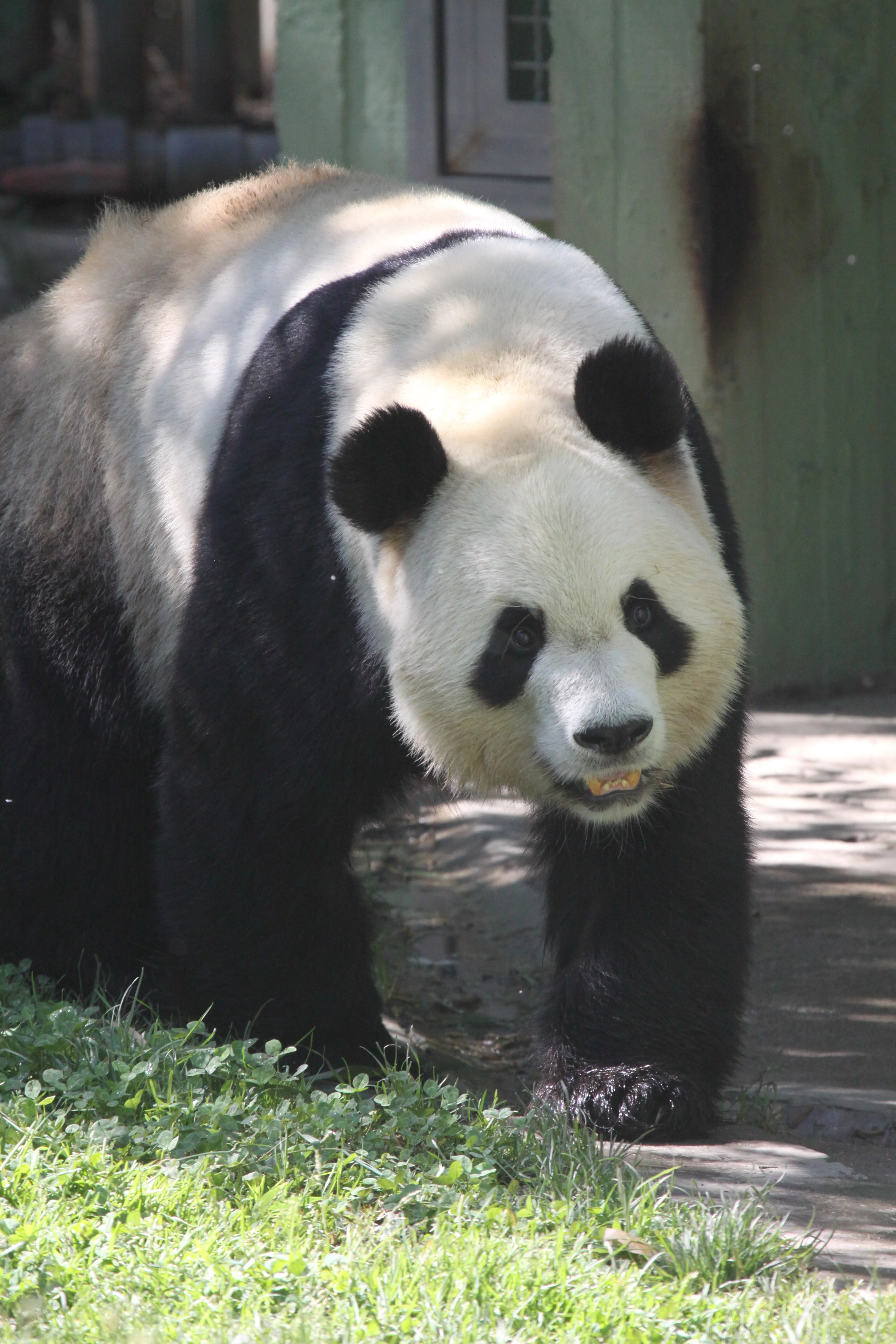 Zoo Madrid