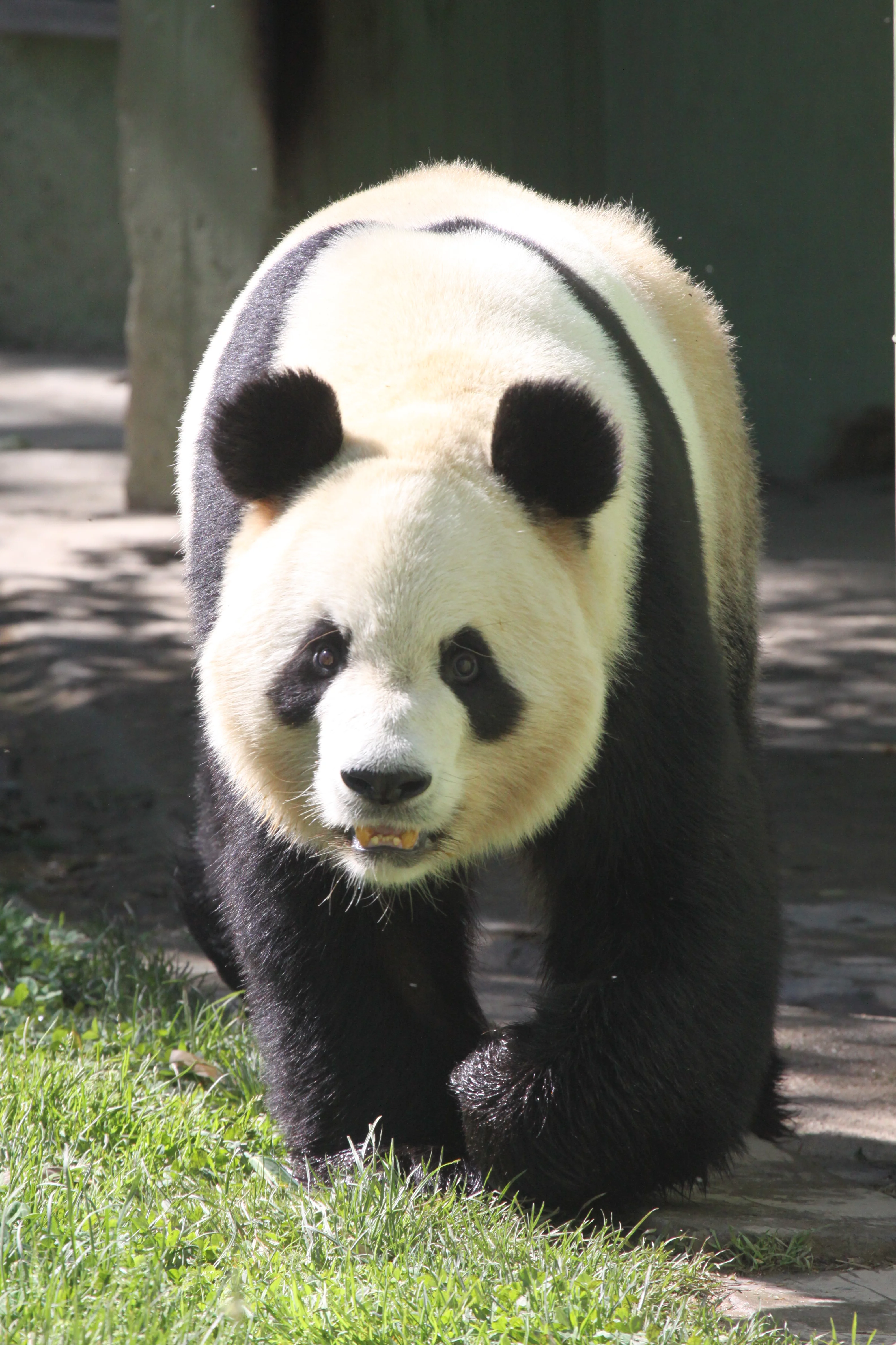 Zoo Madrid