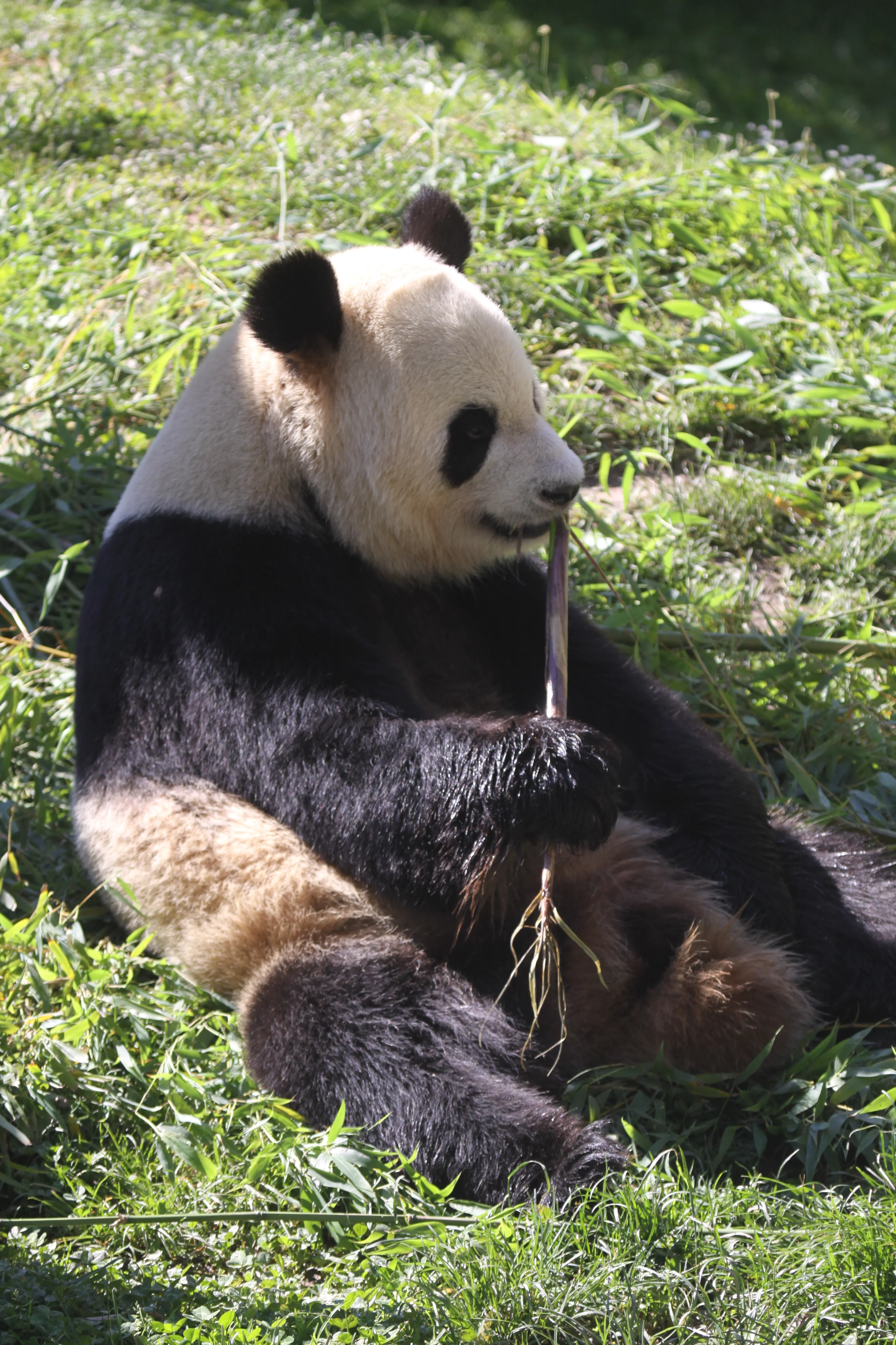 Zoo Madrid