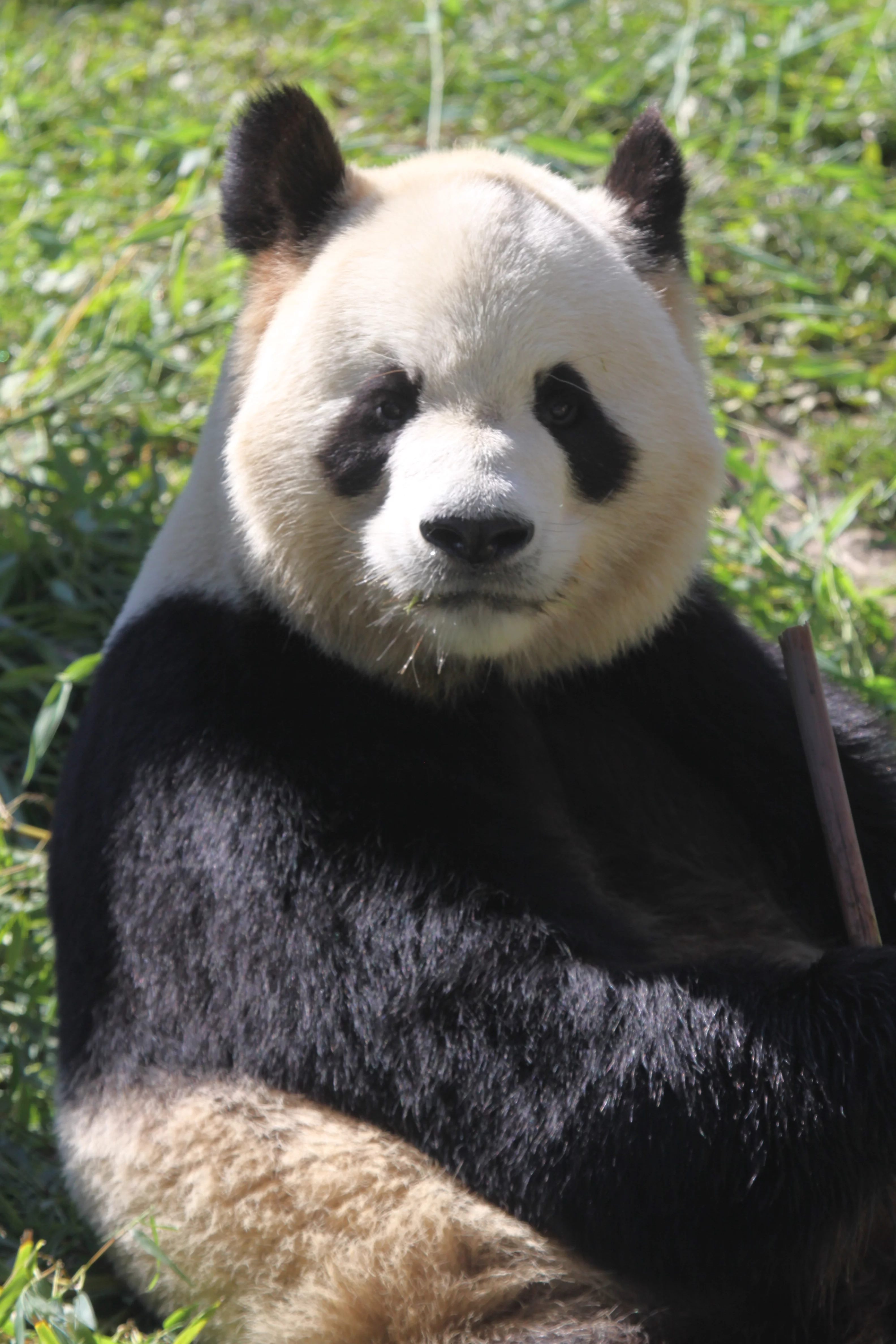 Zoo Madrid