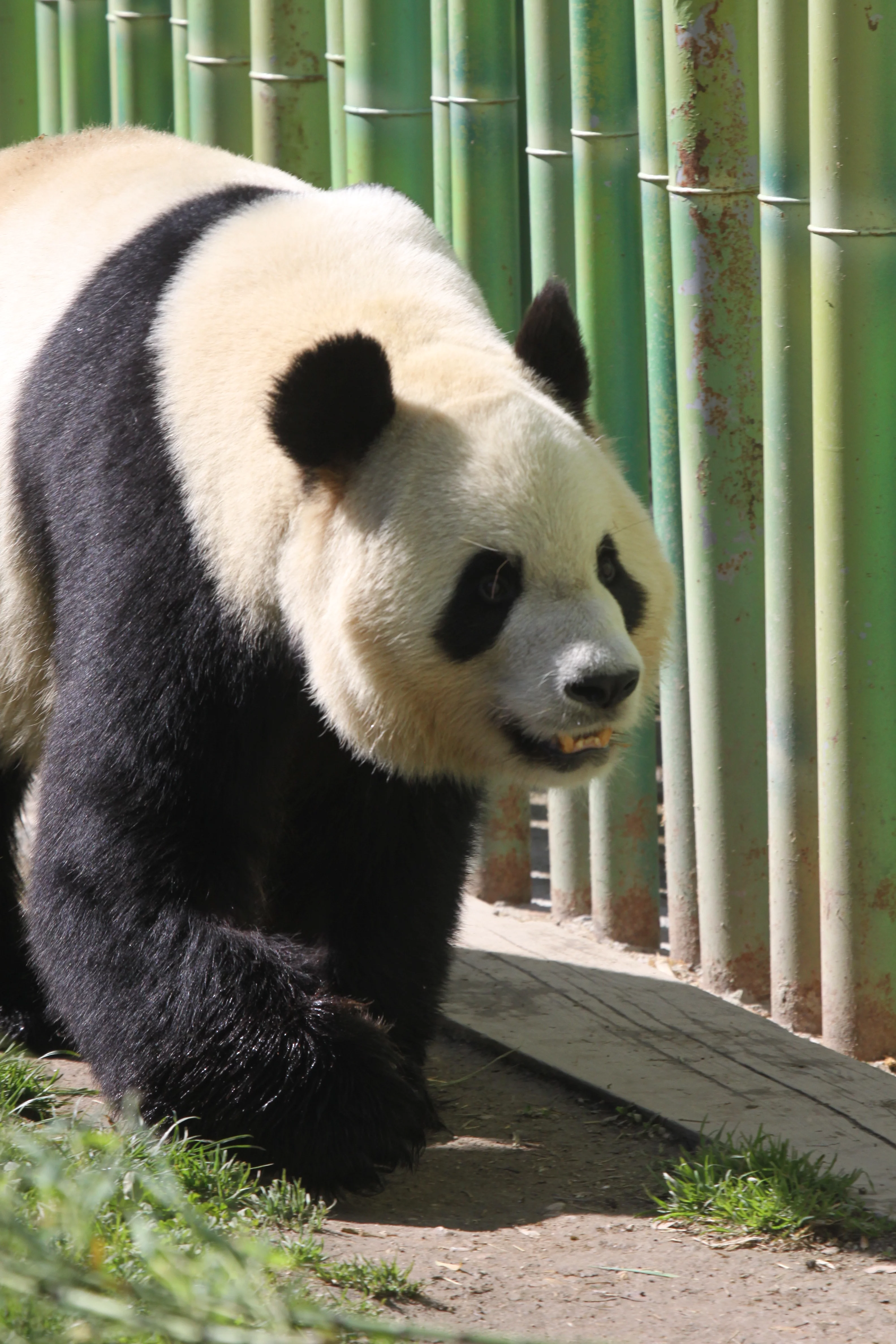 Zoo Madrid