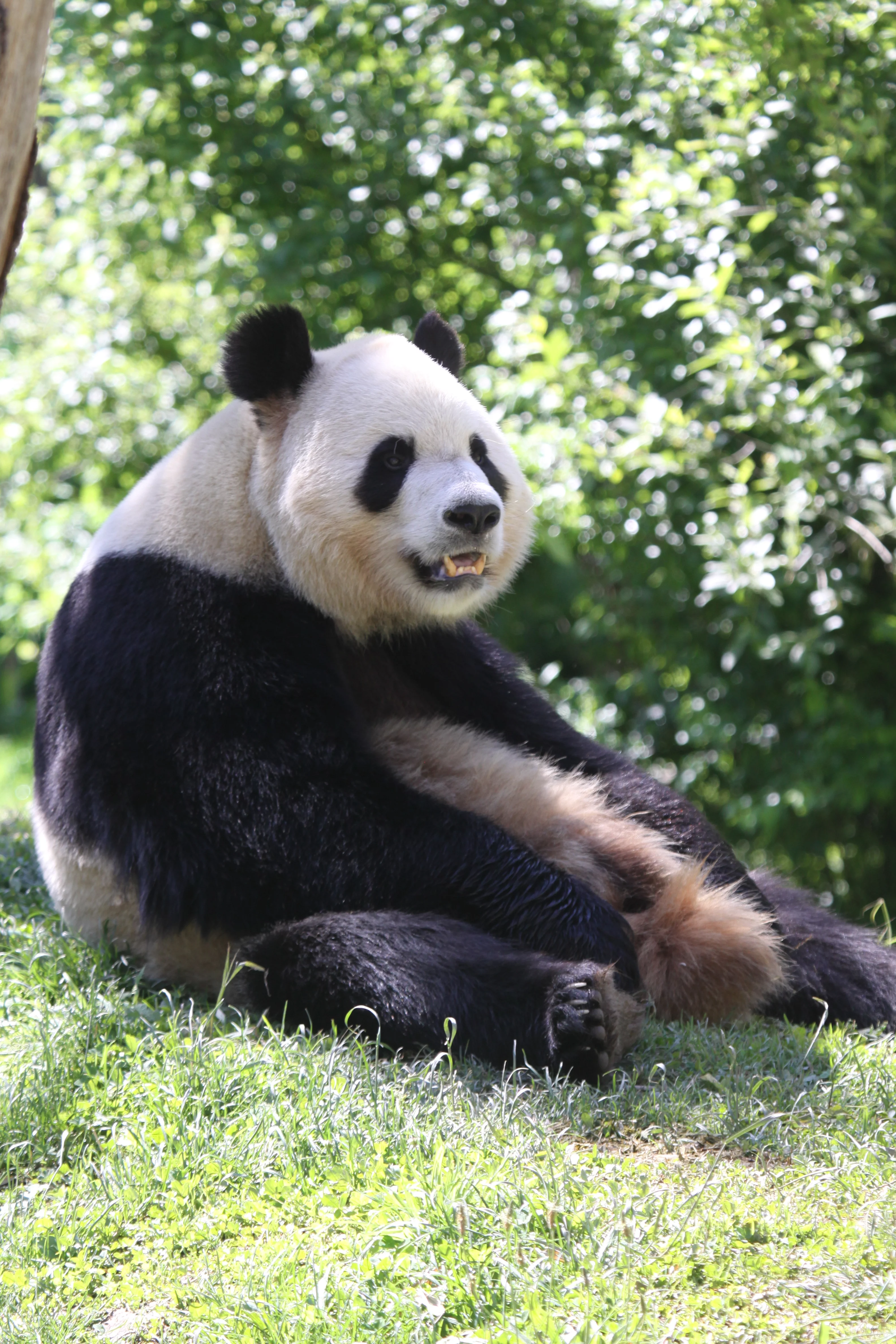 Zoo Madrid
