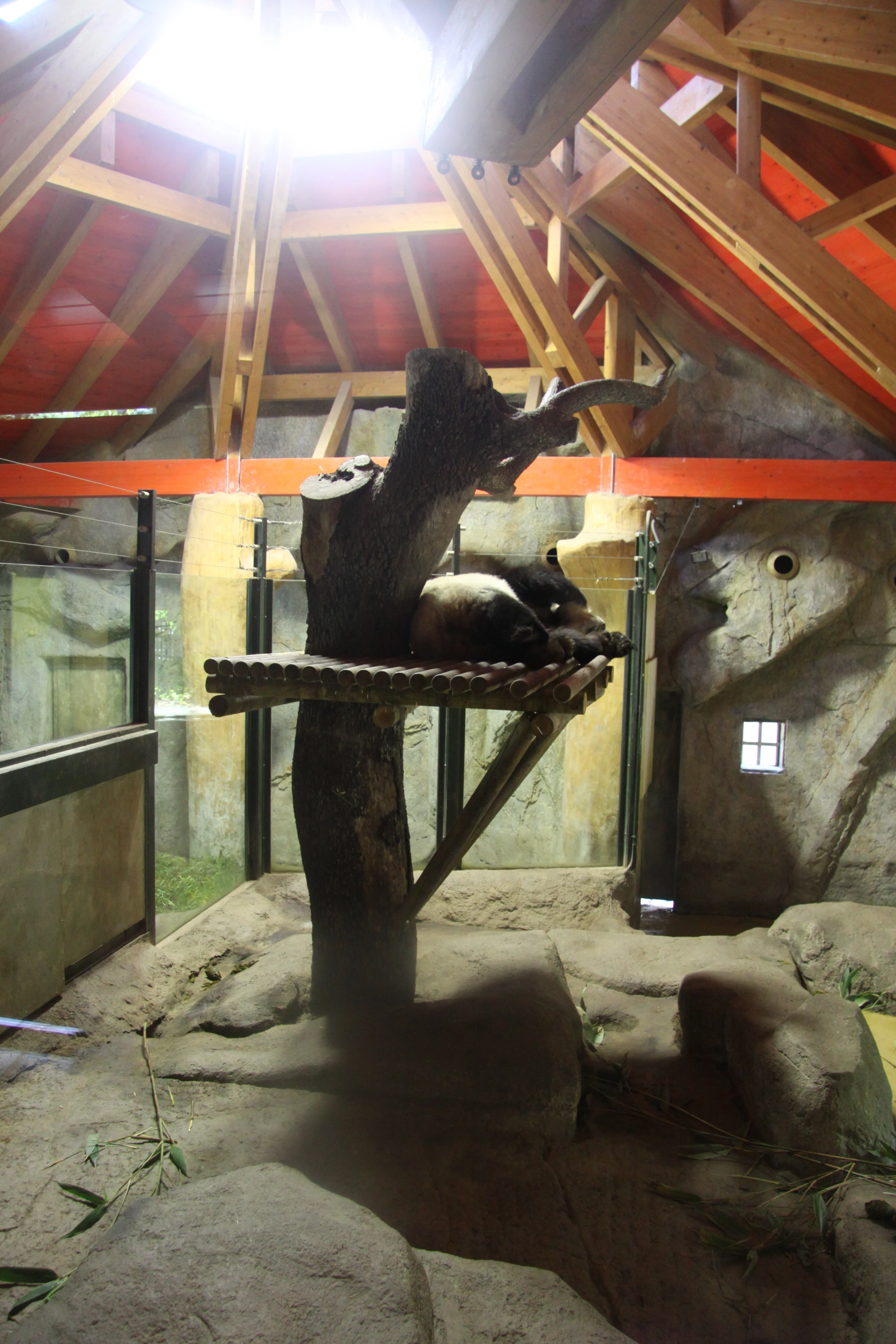 Zoo Madrid