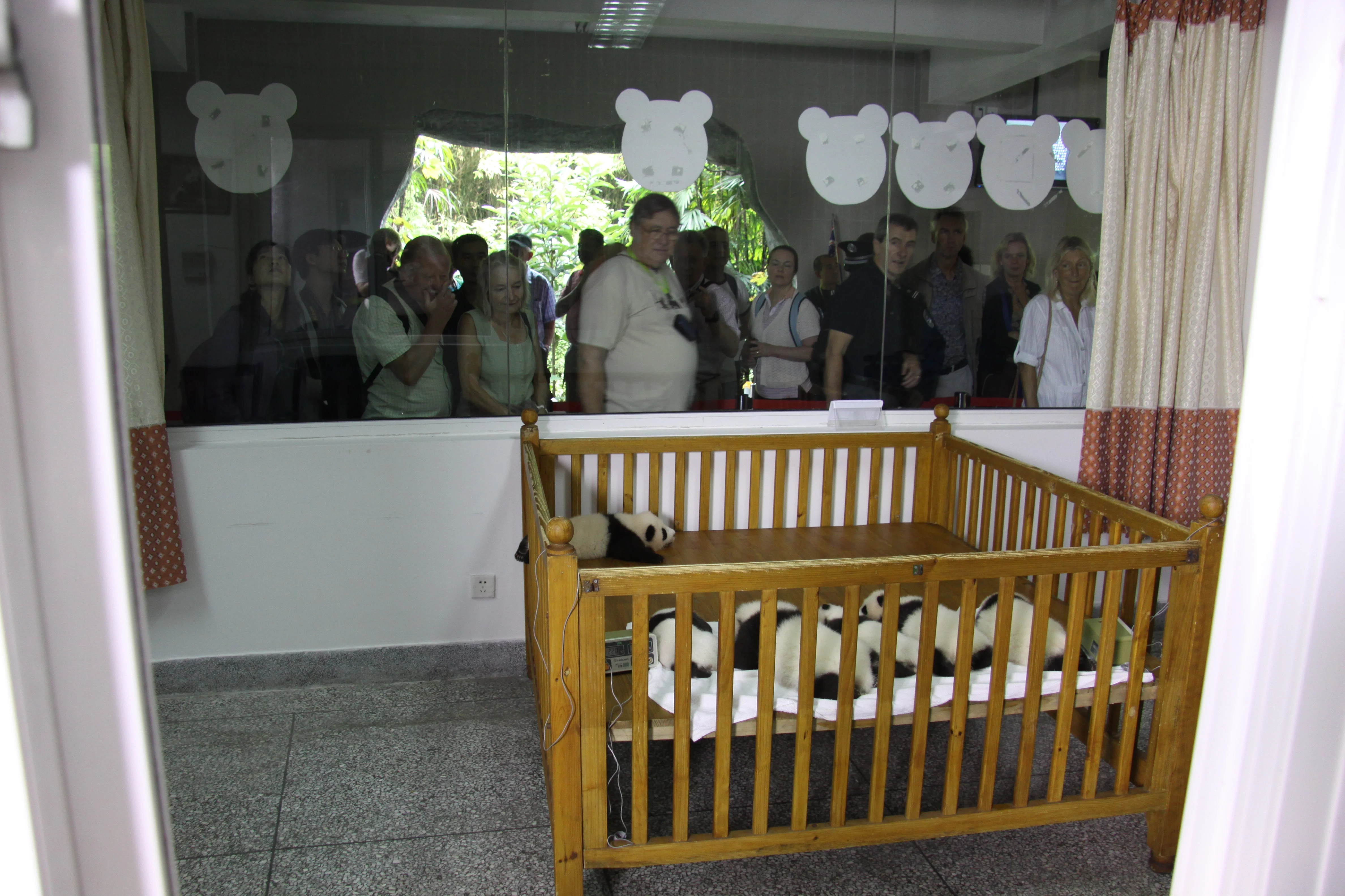 Chengdu Research Base of Giant Panda Breeding