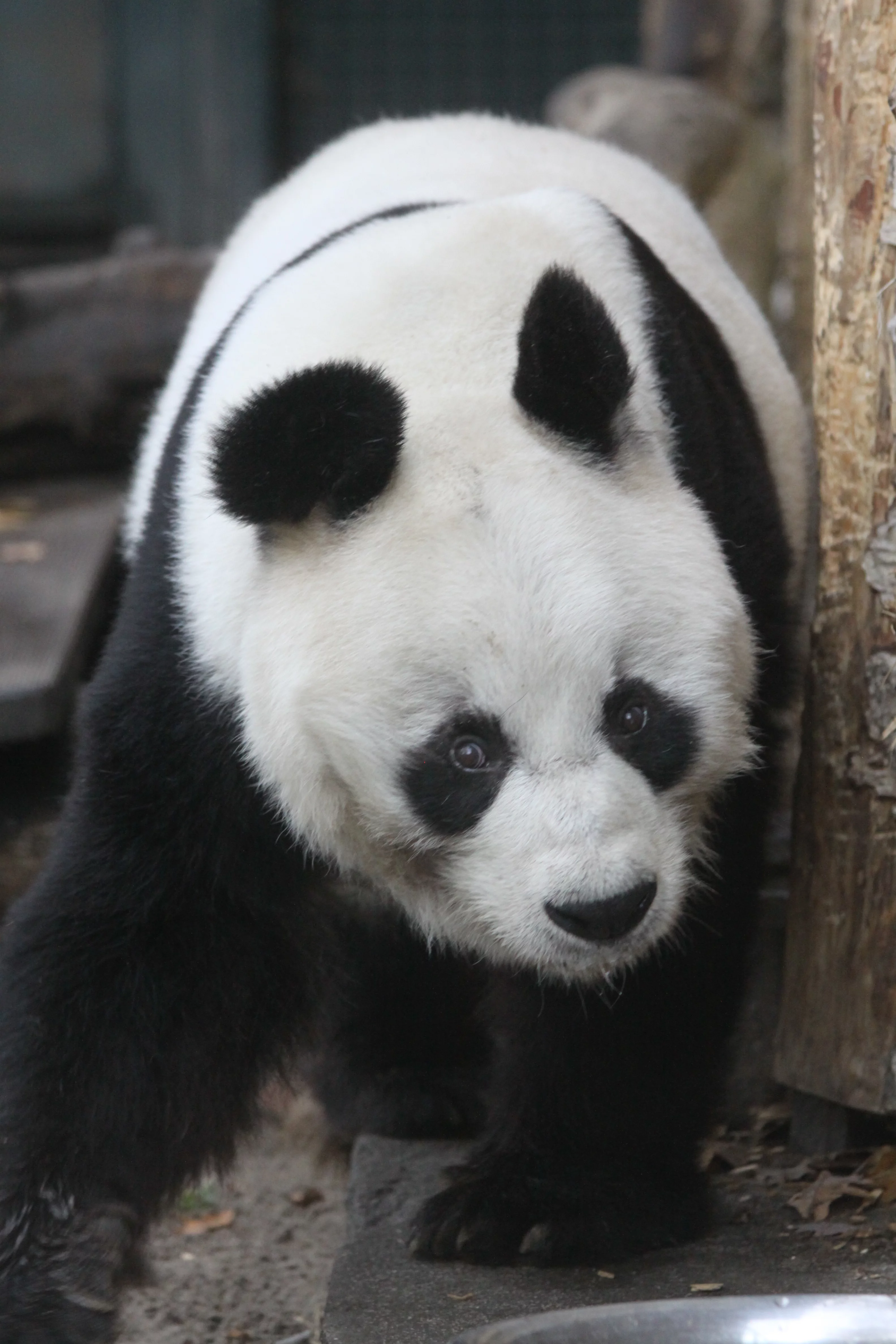 Zoo Berlin