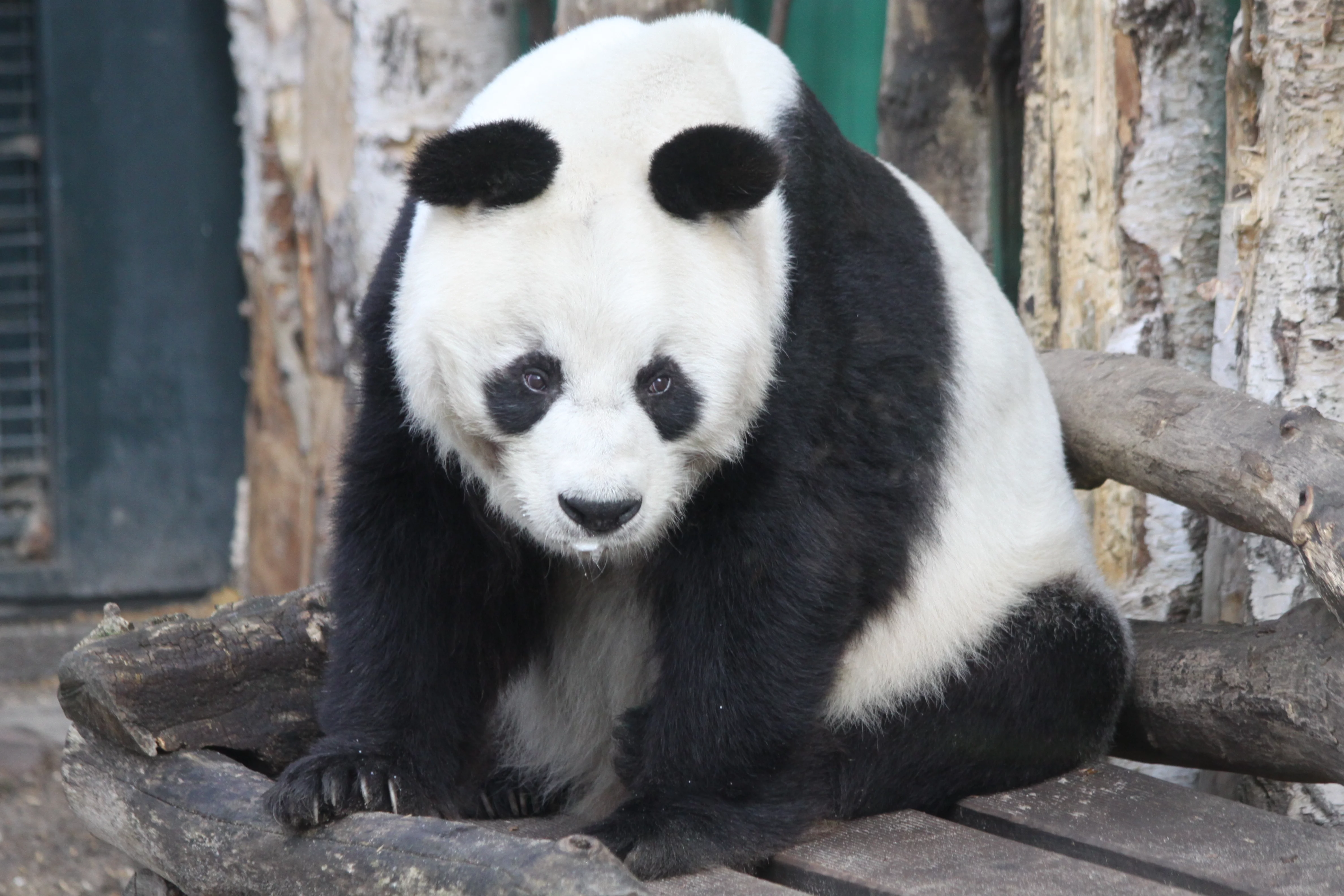 Zoo Berlin