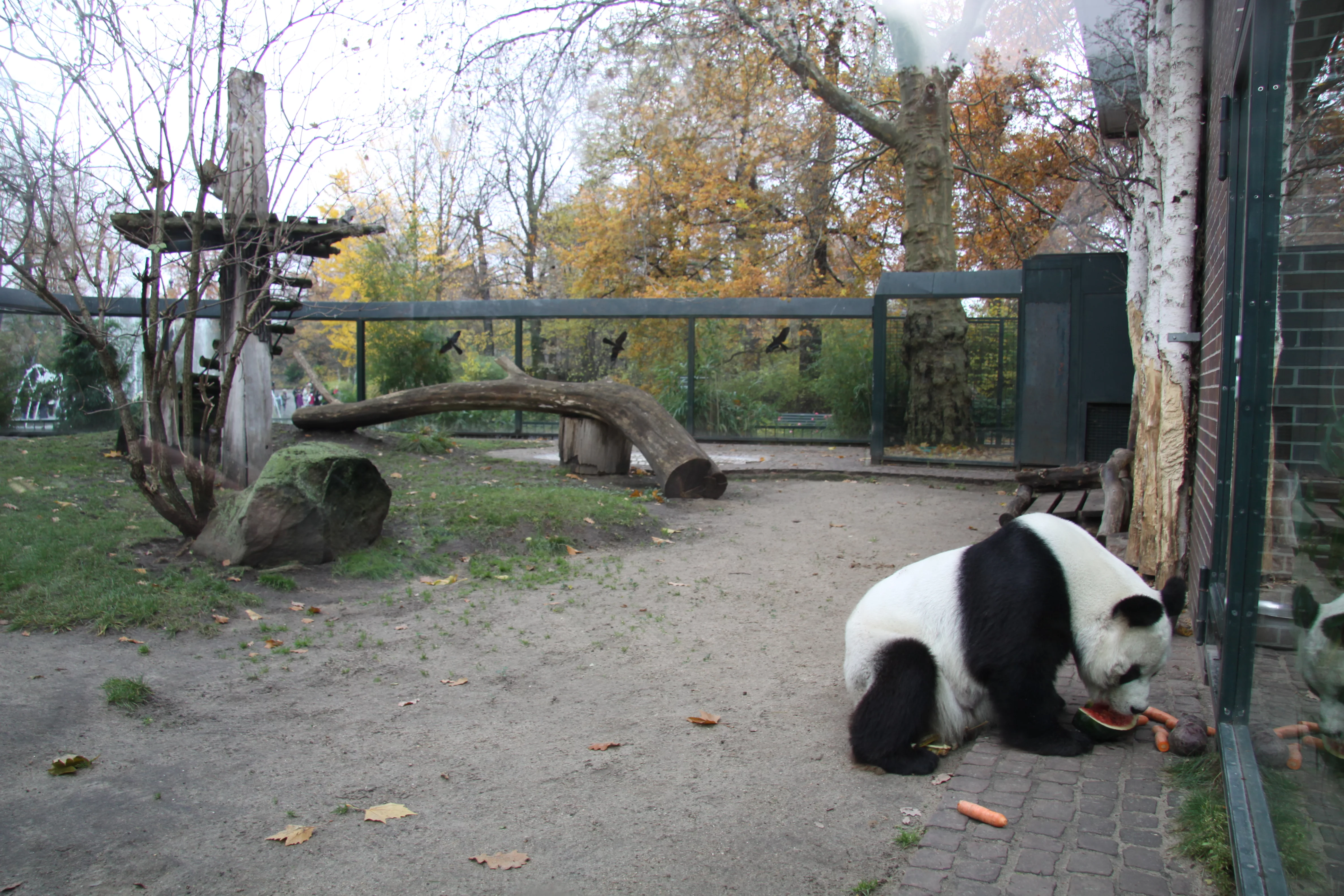 Zoo Berlin