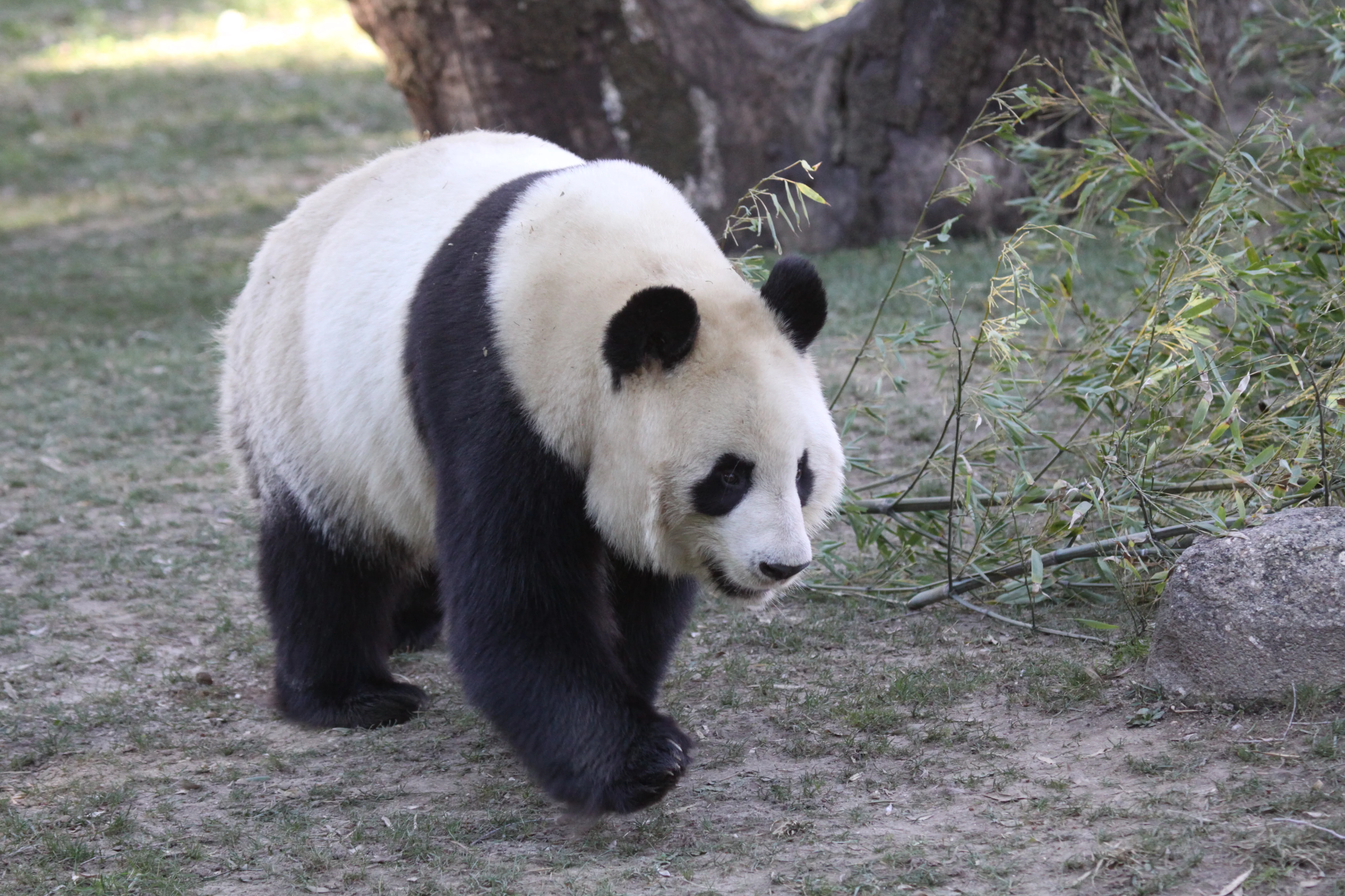 Zoo Madrid