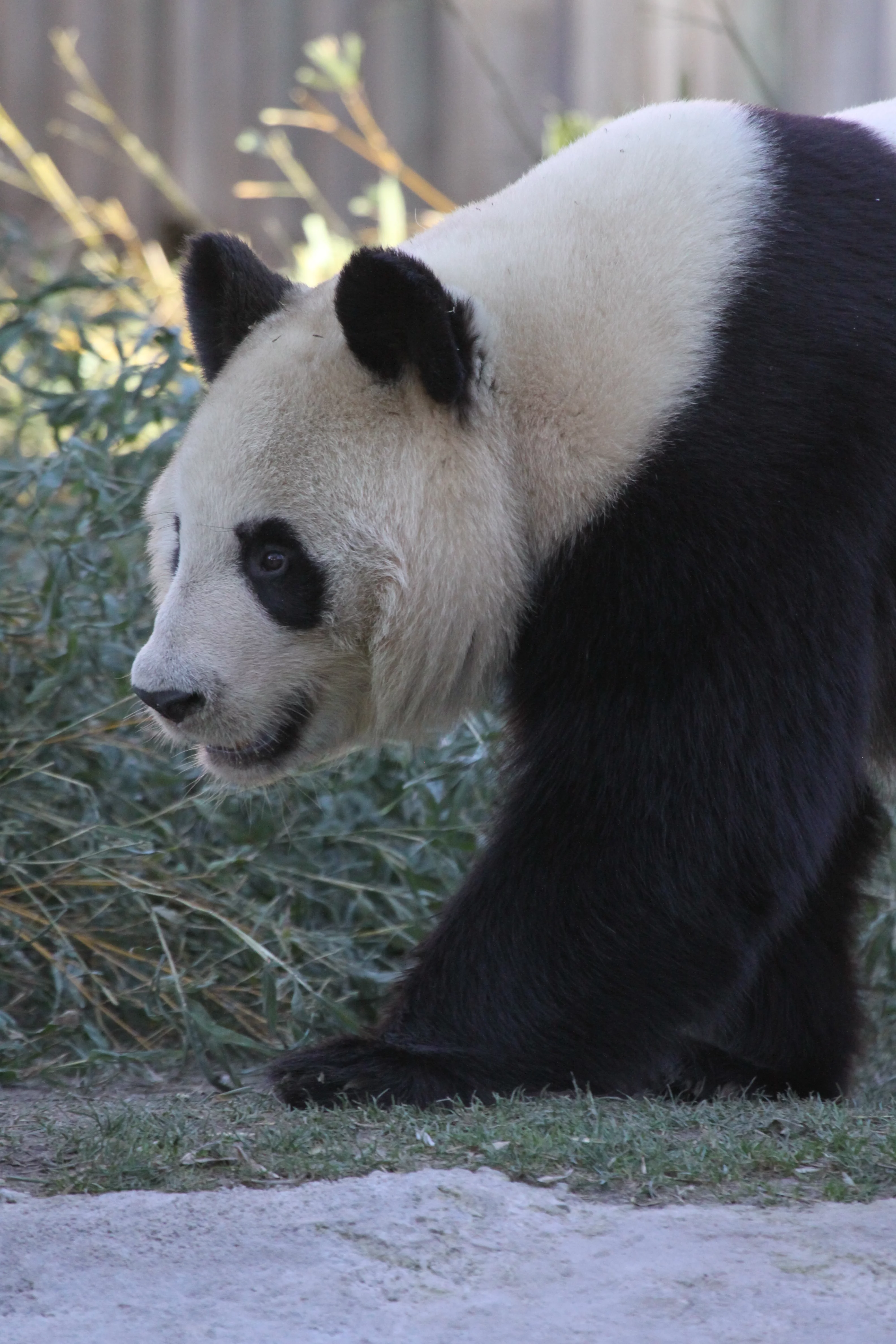 Zoo Madrid
