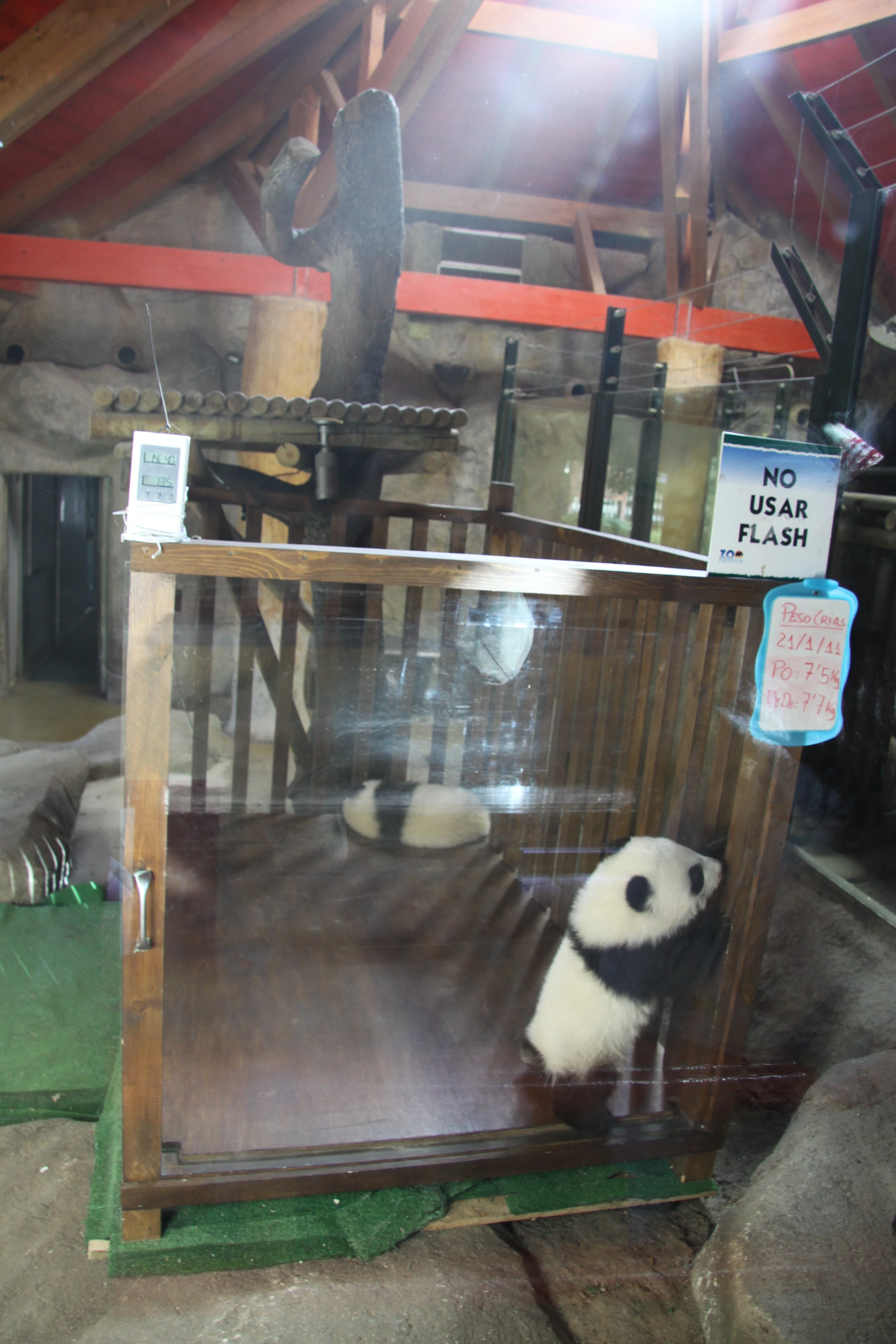Zoo Madrid