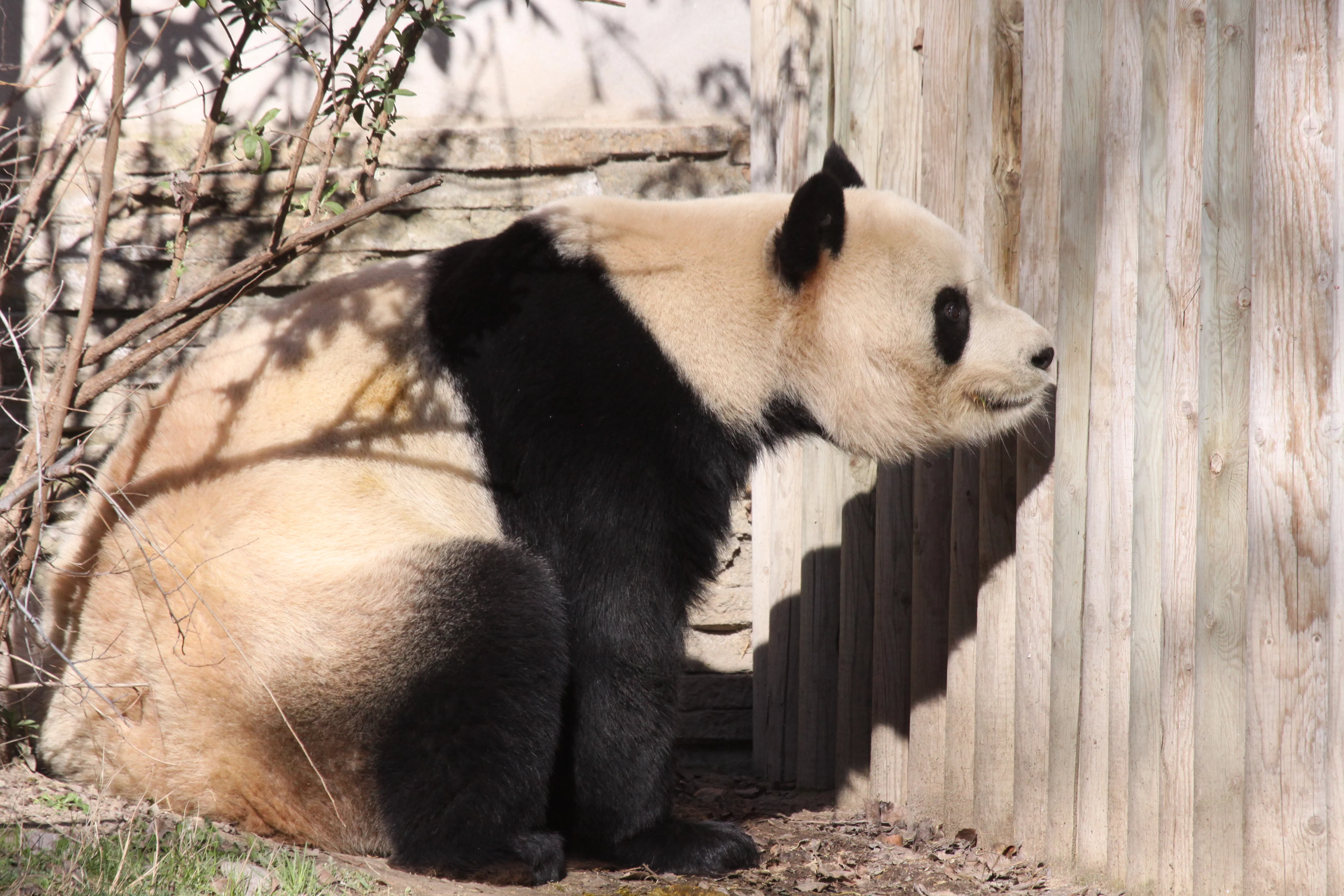 Zoo Madrid