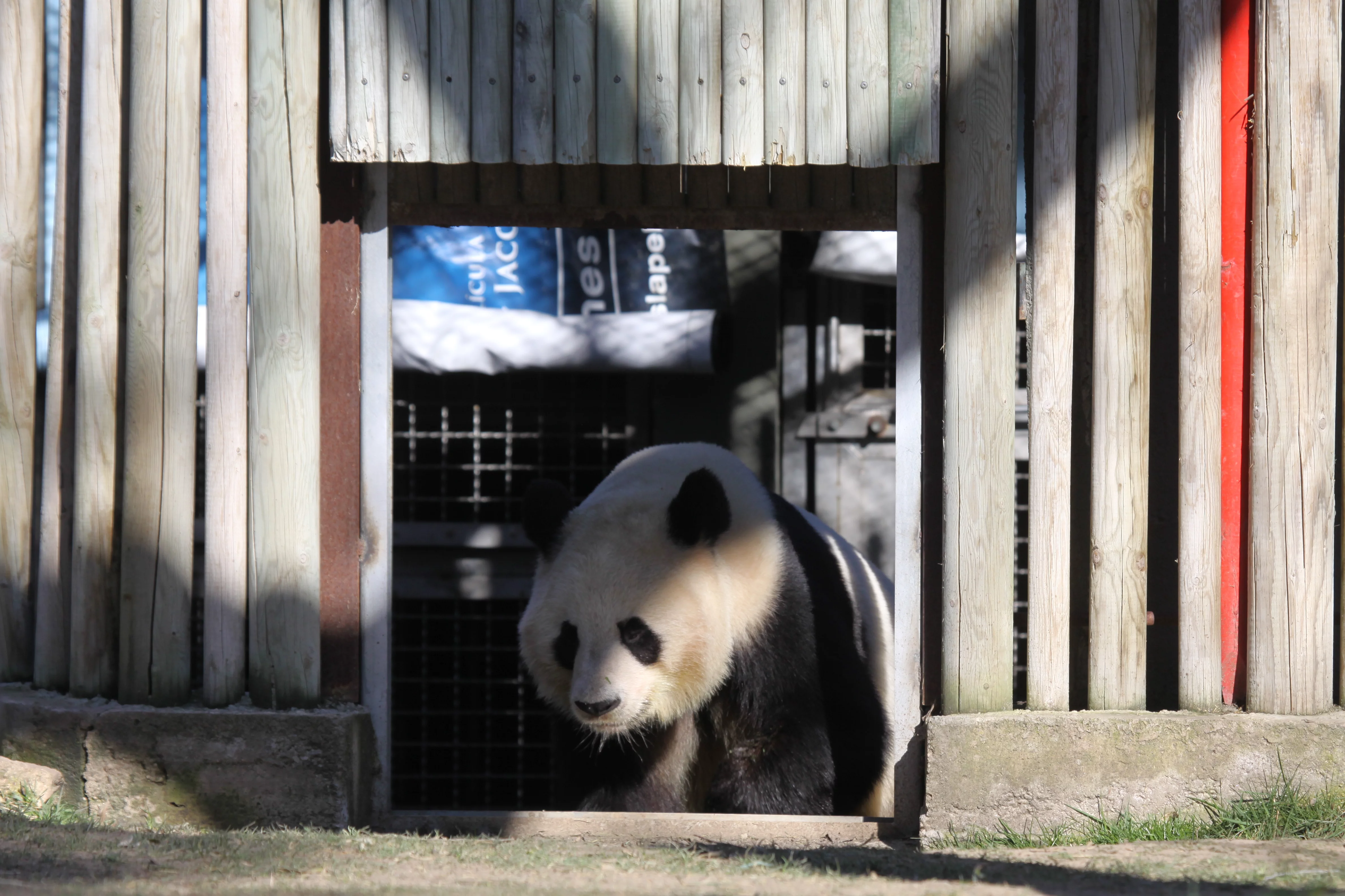 Zoo Madrid