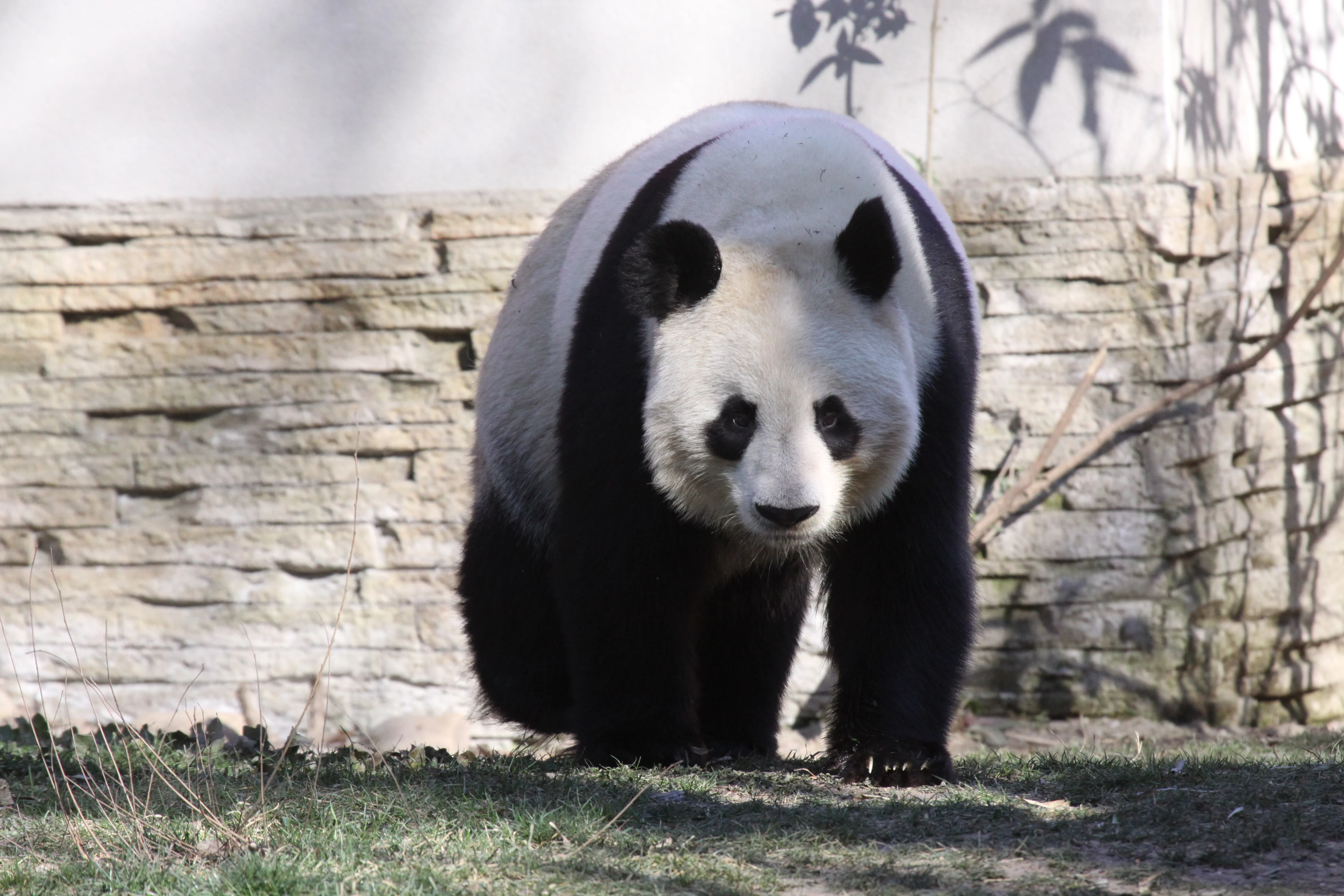 Zoo Madrid