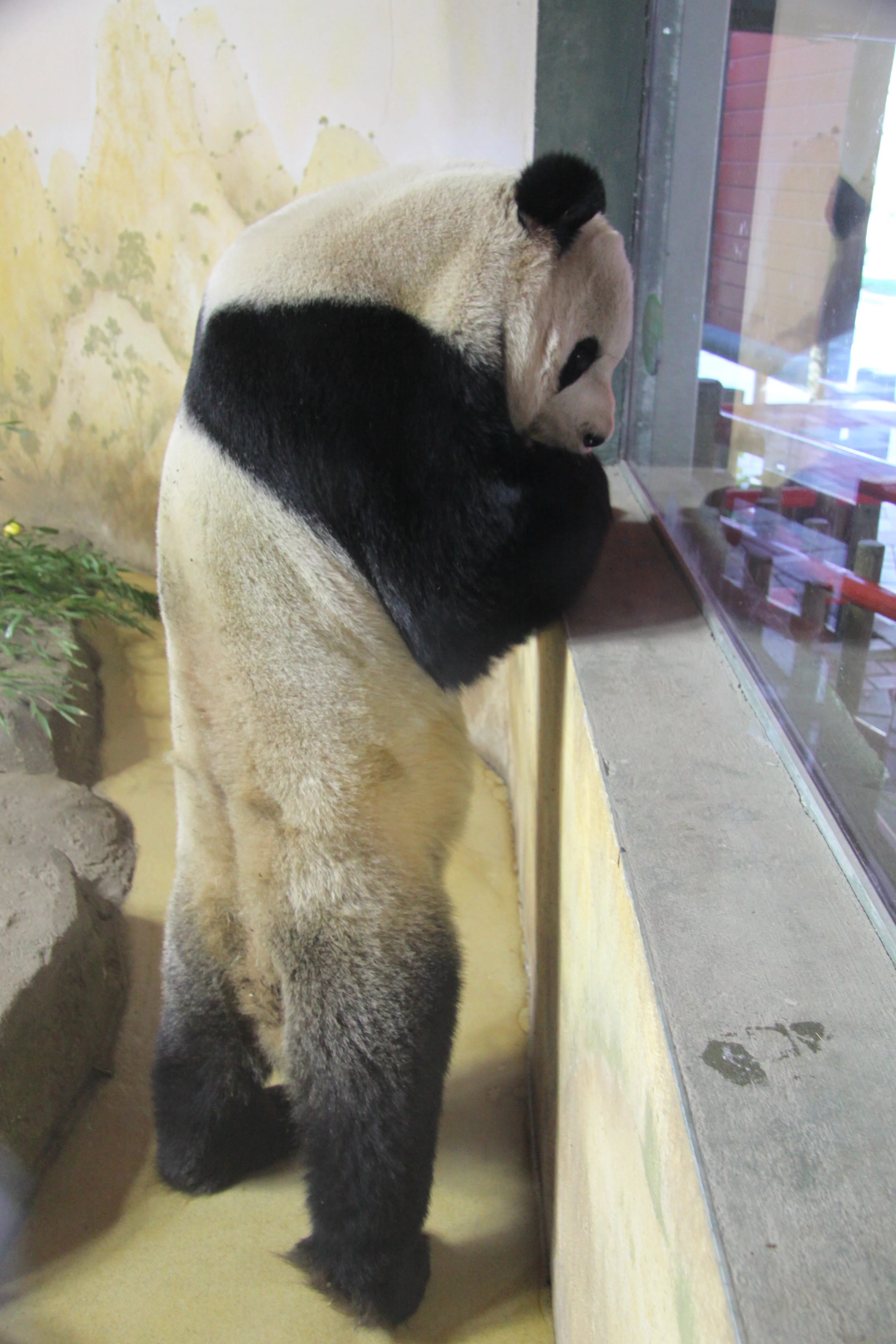 Zoo Madrid
