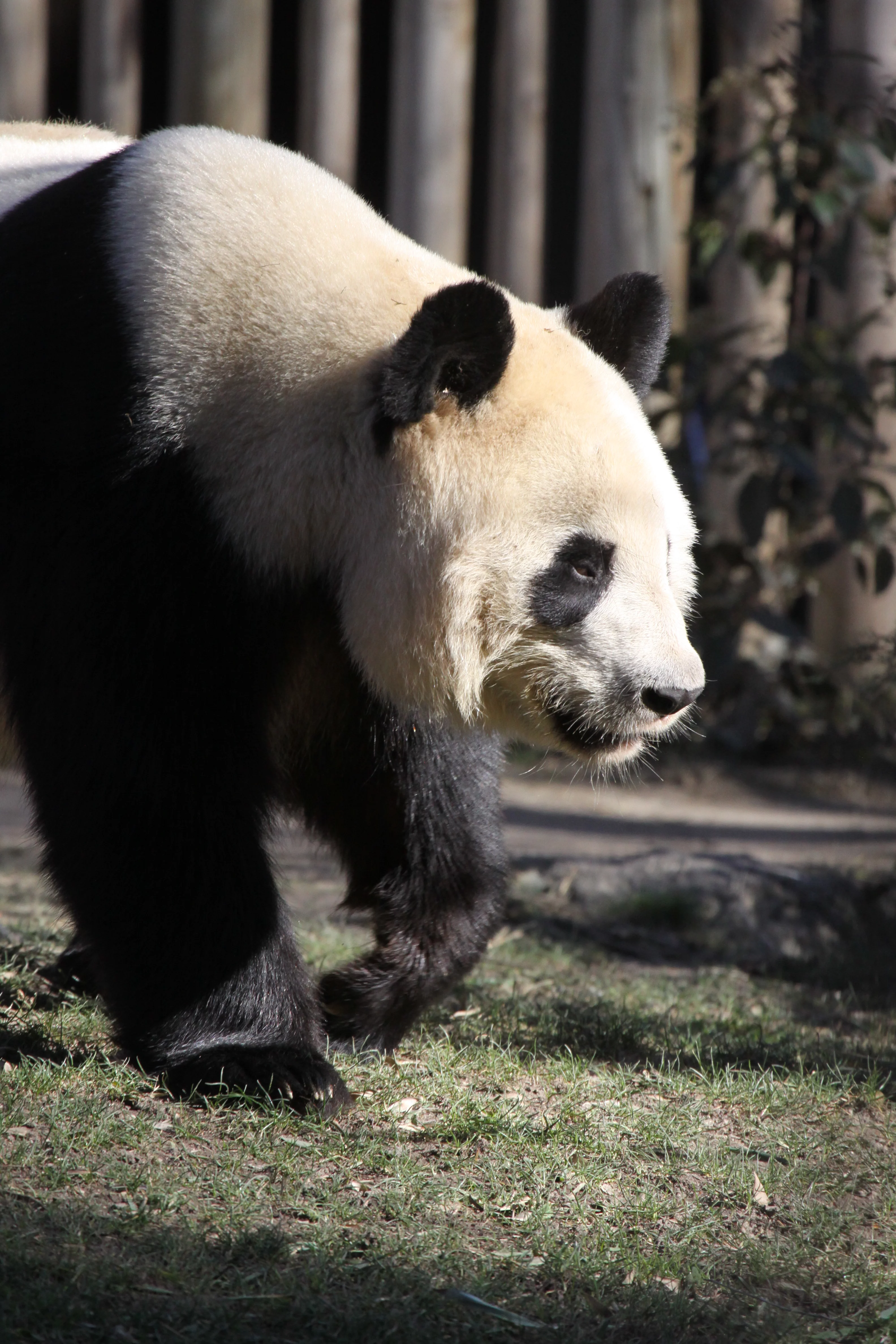 Zoo Madrid