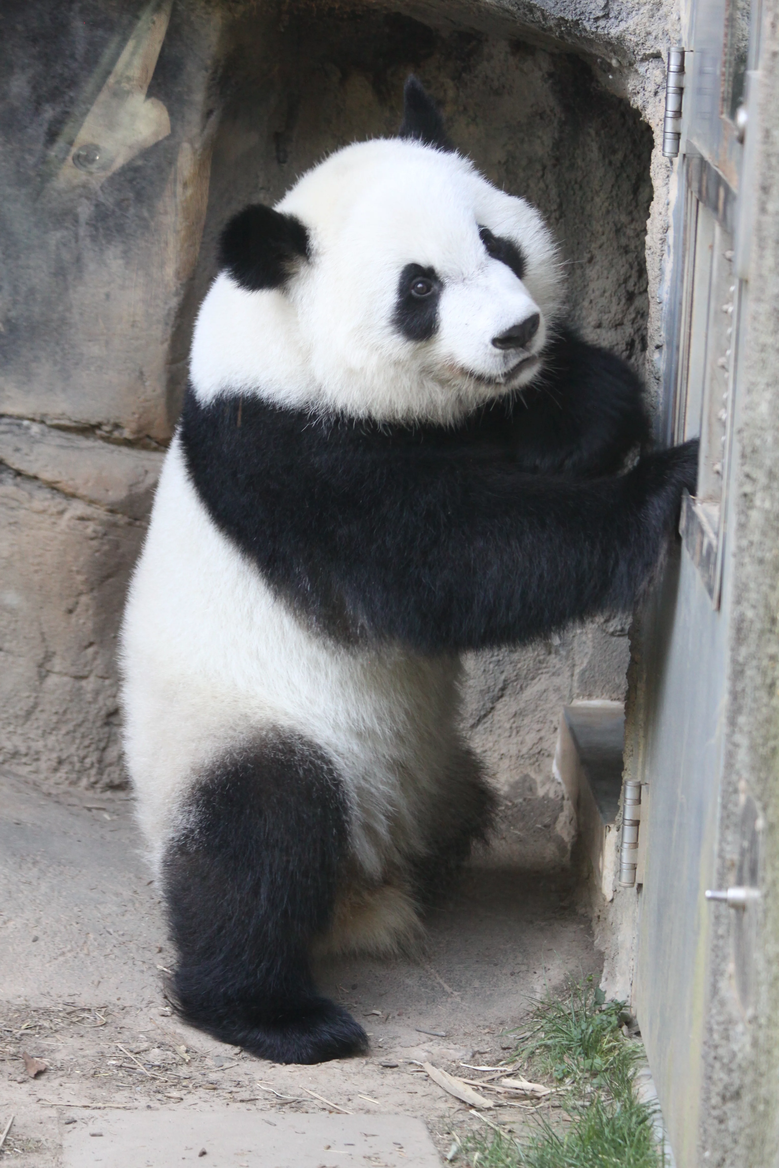 Zoo Atlanta