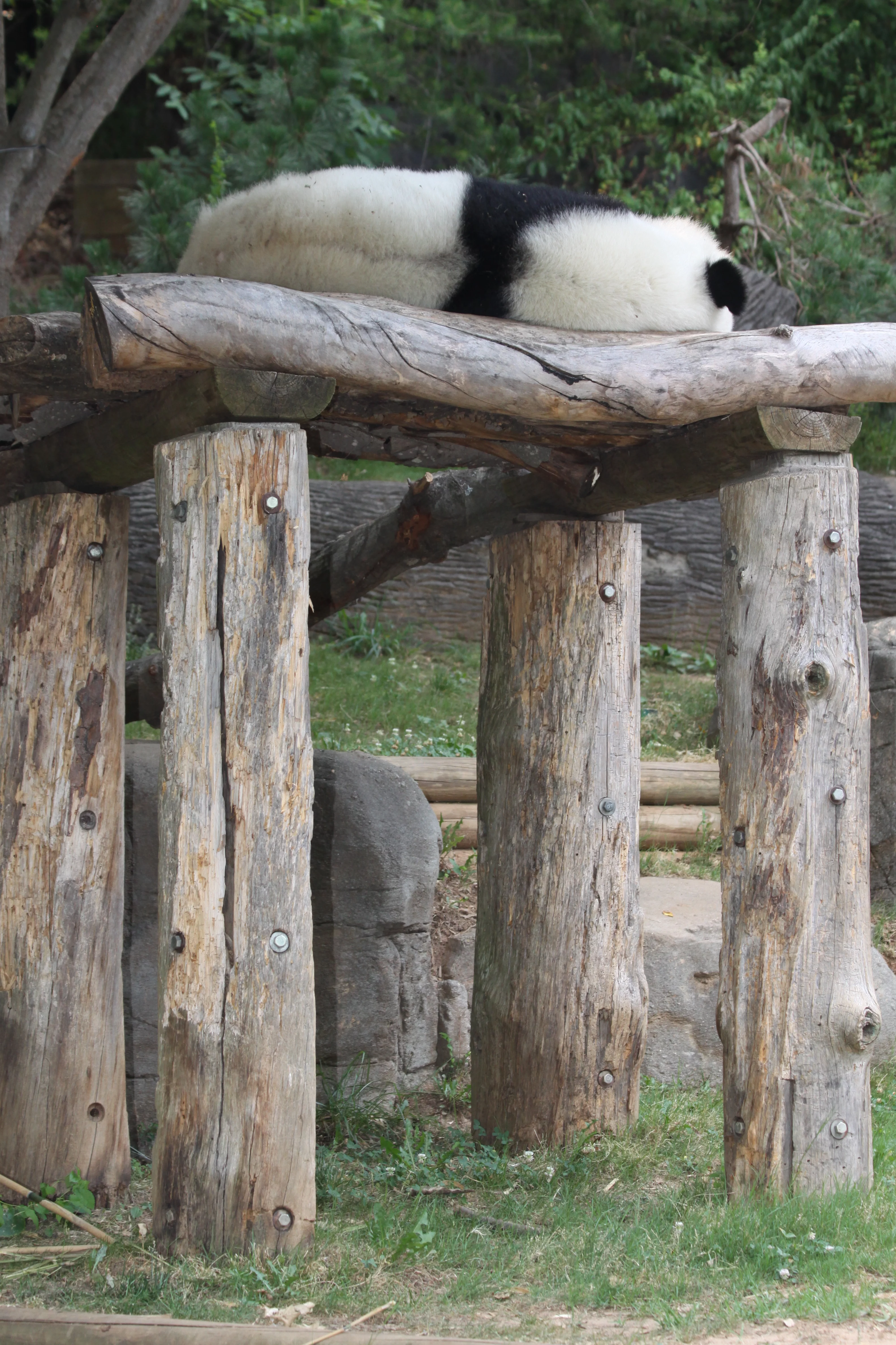 Zoo Atlanta