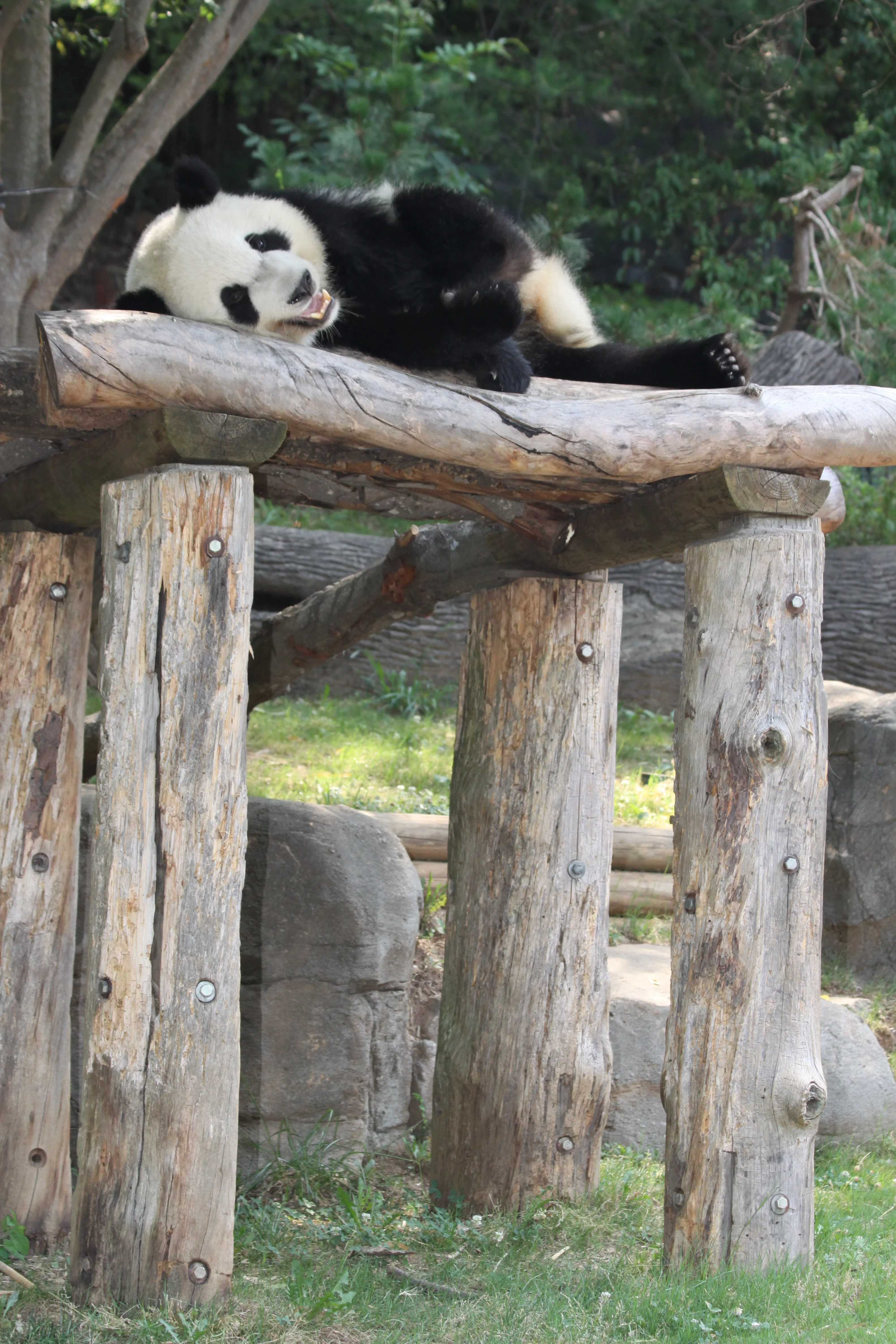 Zoo Atlanta