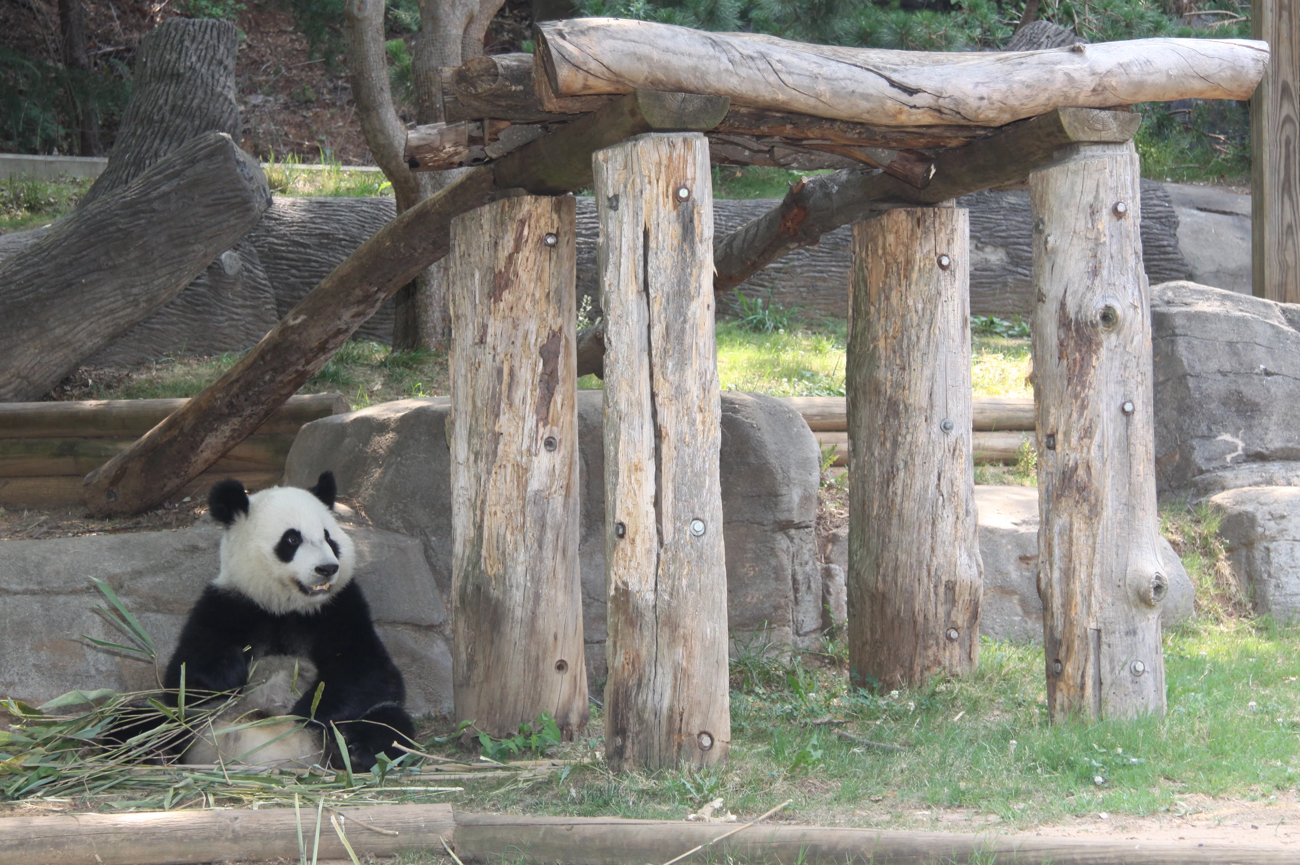 Zoo Atlanta