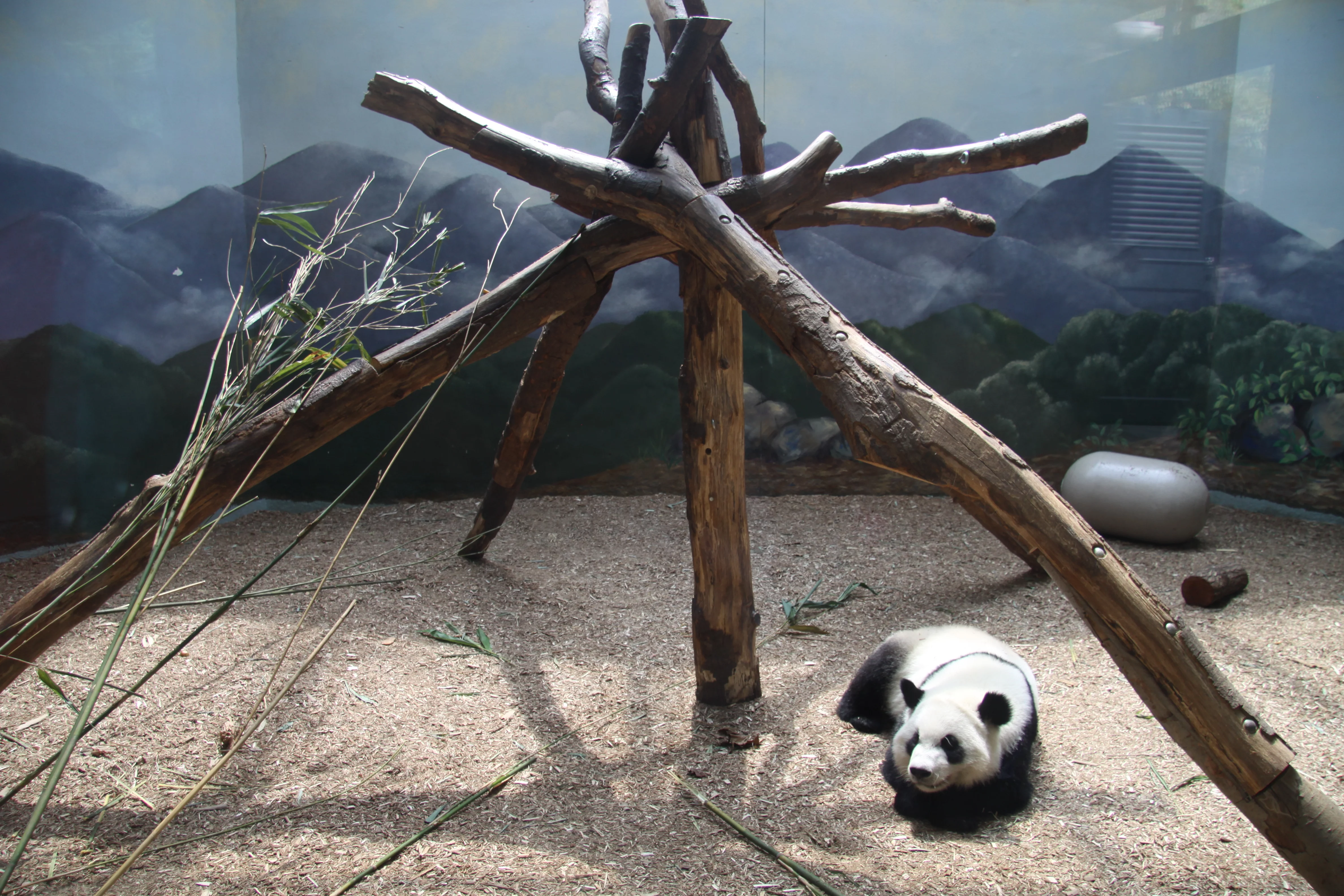 Zoo Atlanta
