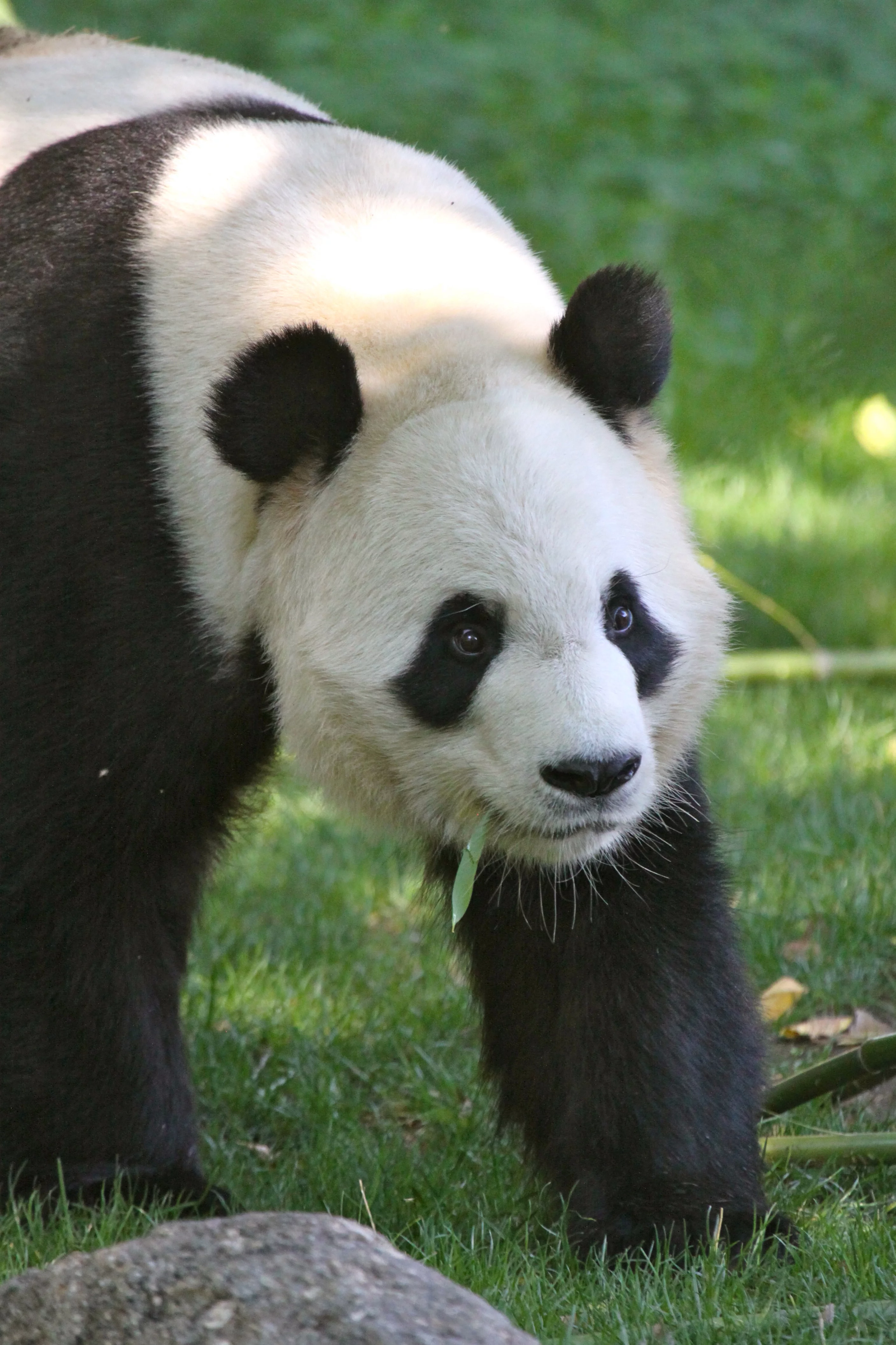 Zoo Madrid