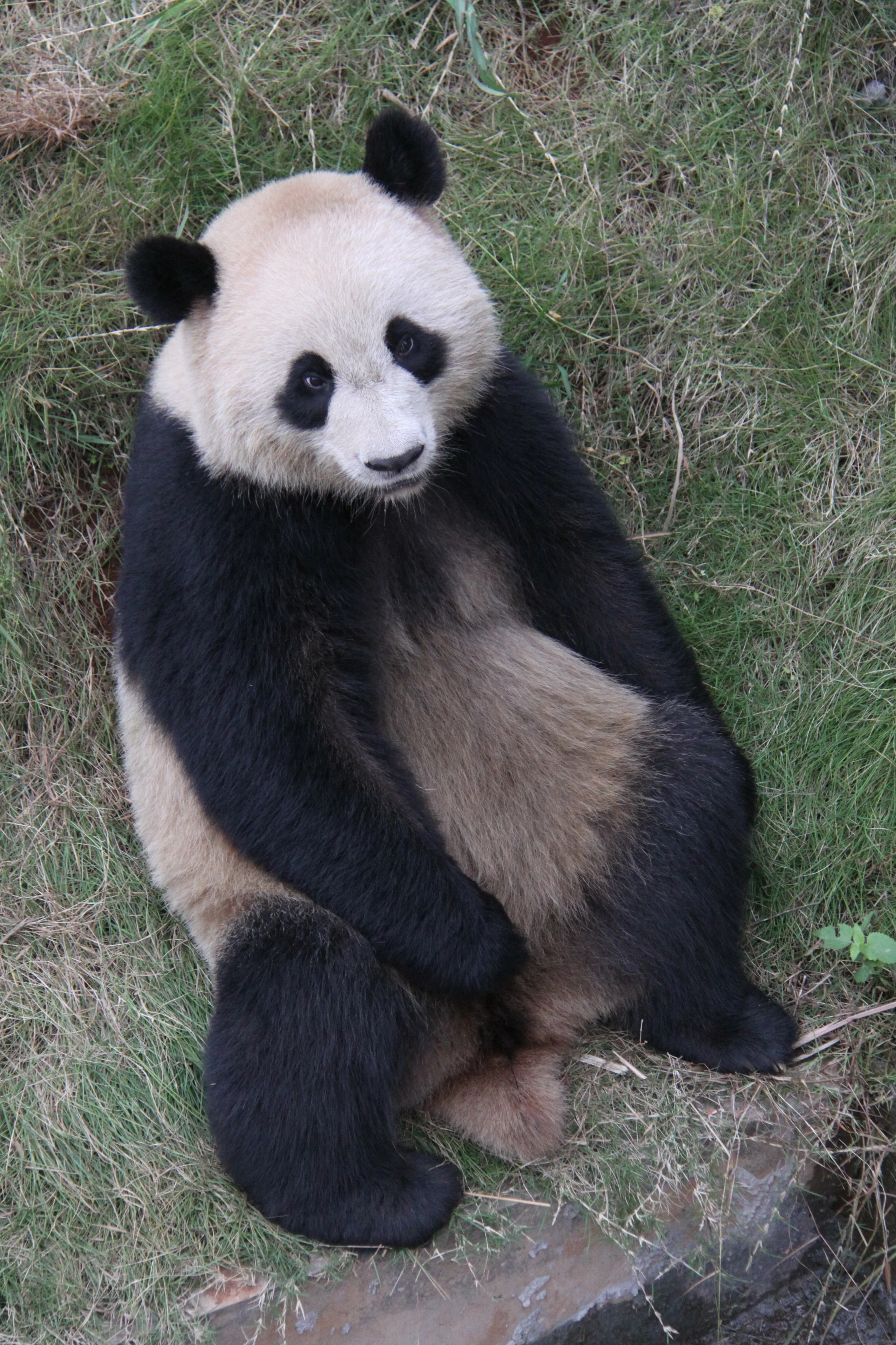 Changsha Ecological Zoo