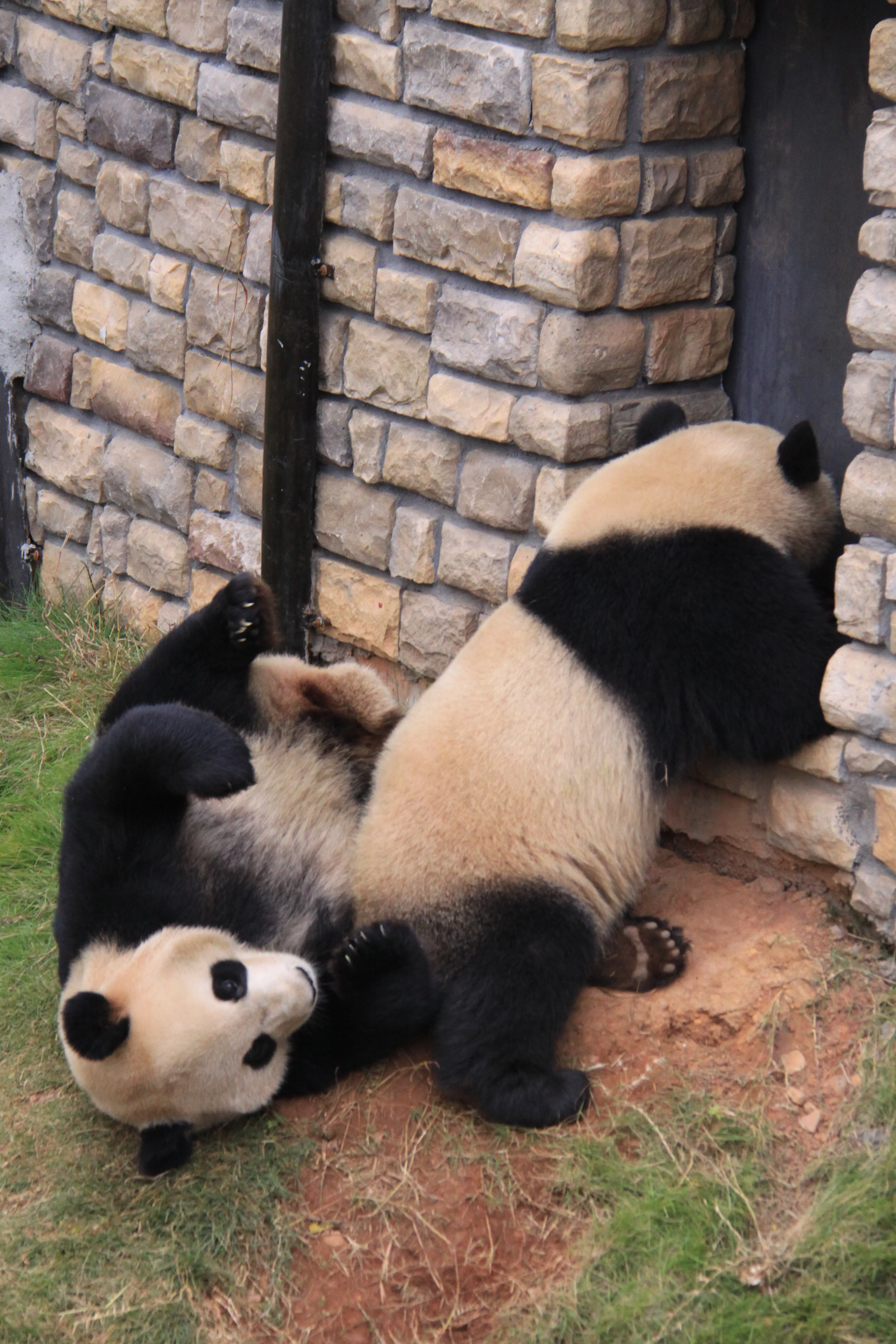Changsha Ecological Zoo
