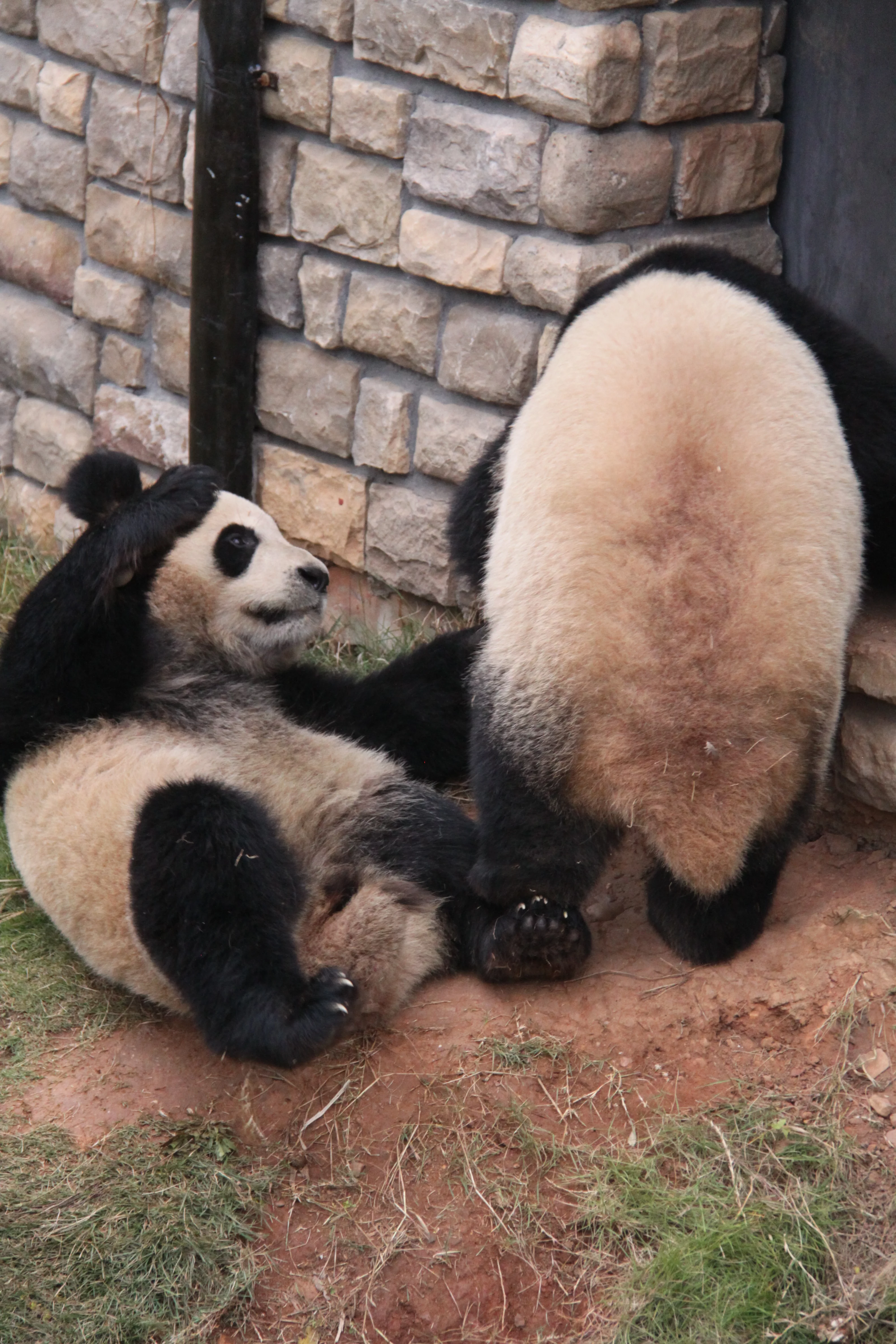 Changsha Ecological Zoo