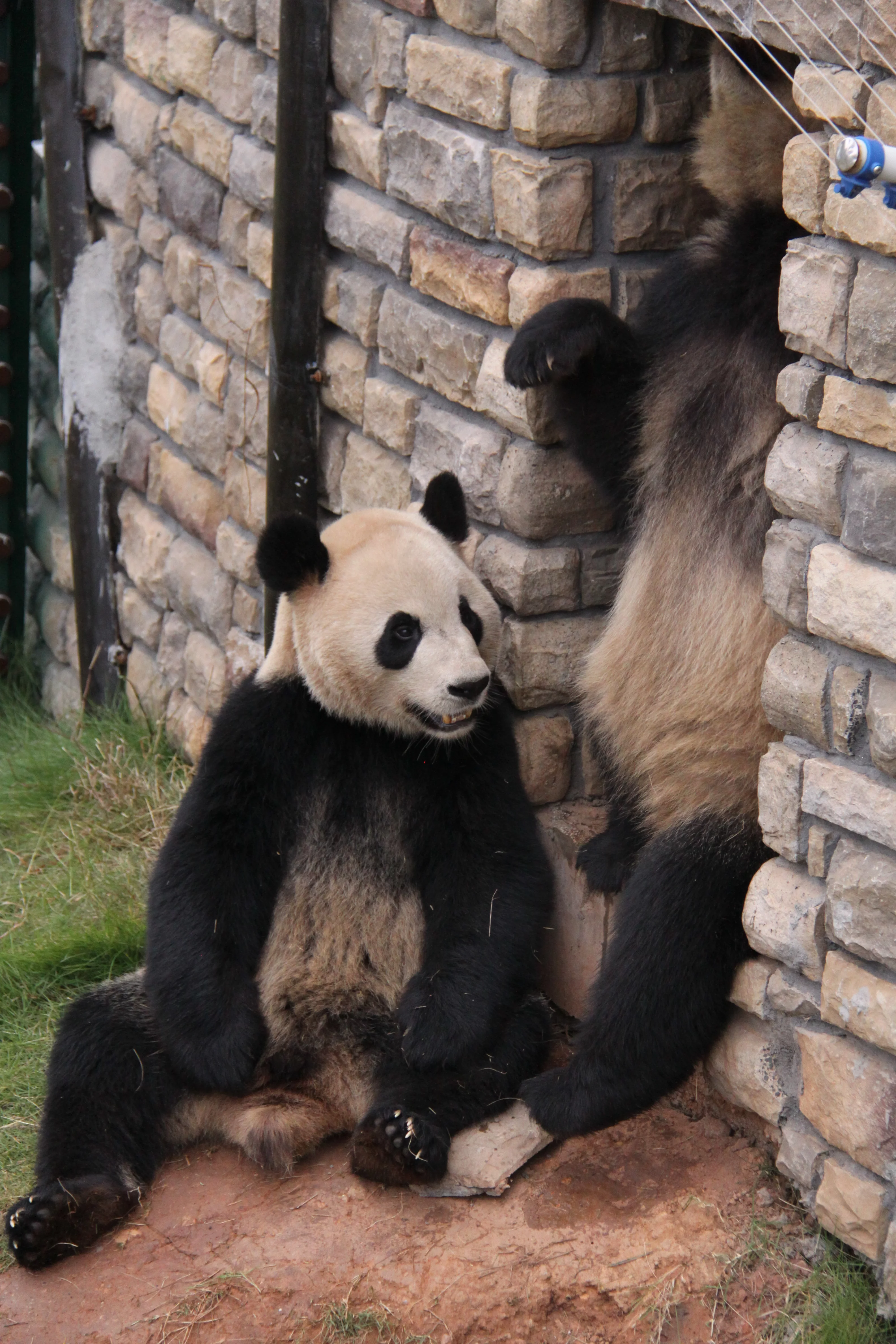 Changsha Ecological Zoo