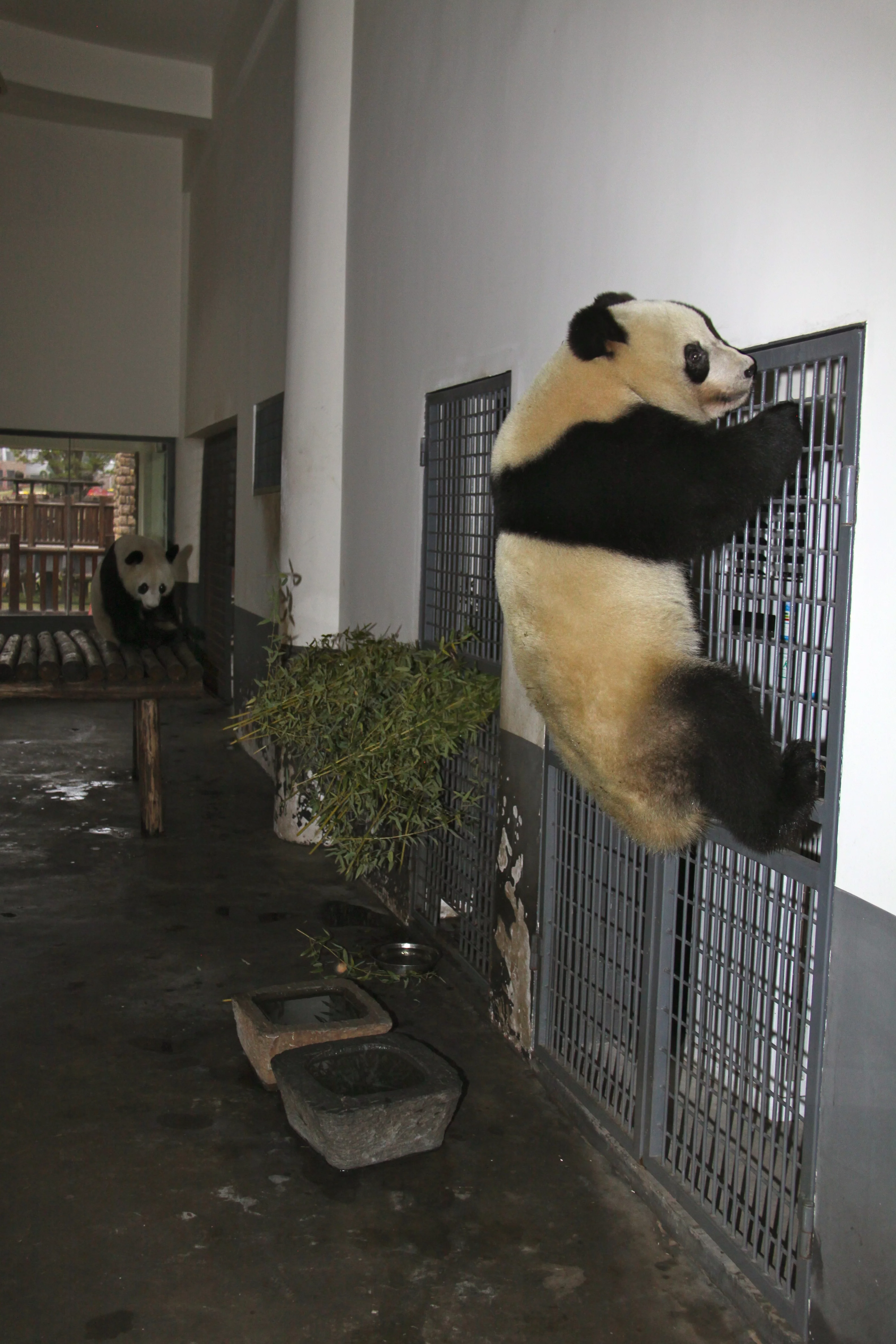 Changsha Ecological Zoo