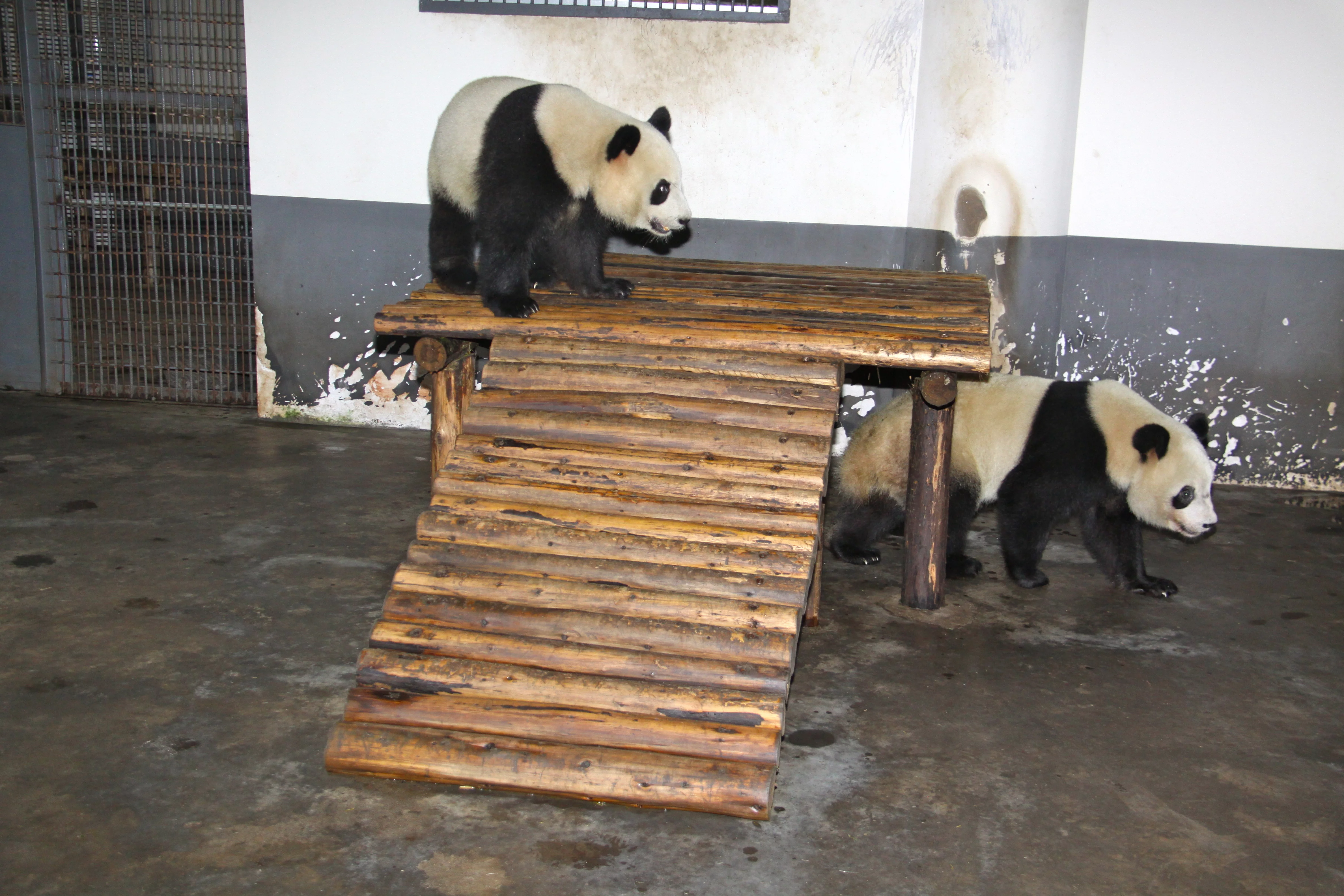 Changsha Ecological Zoo