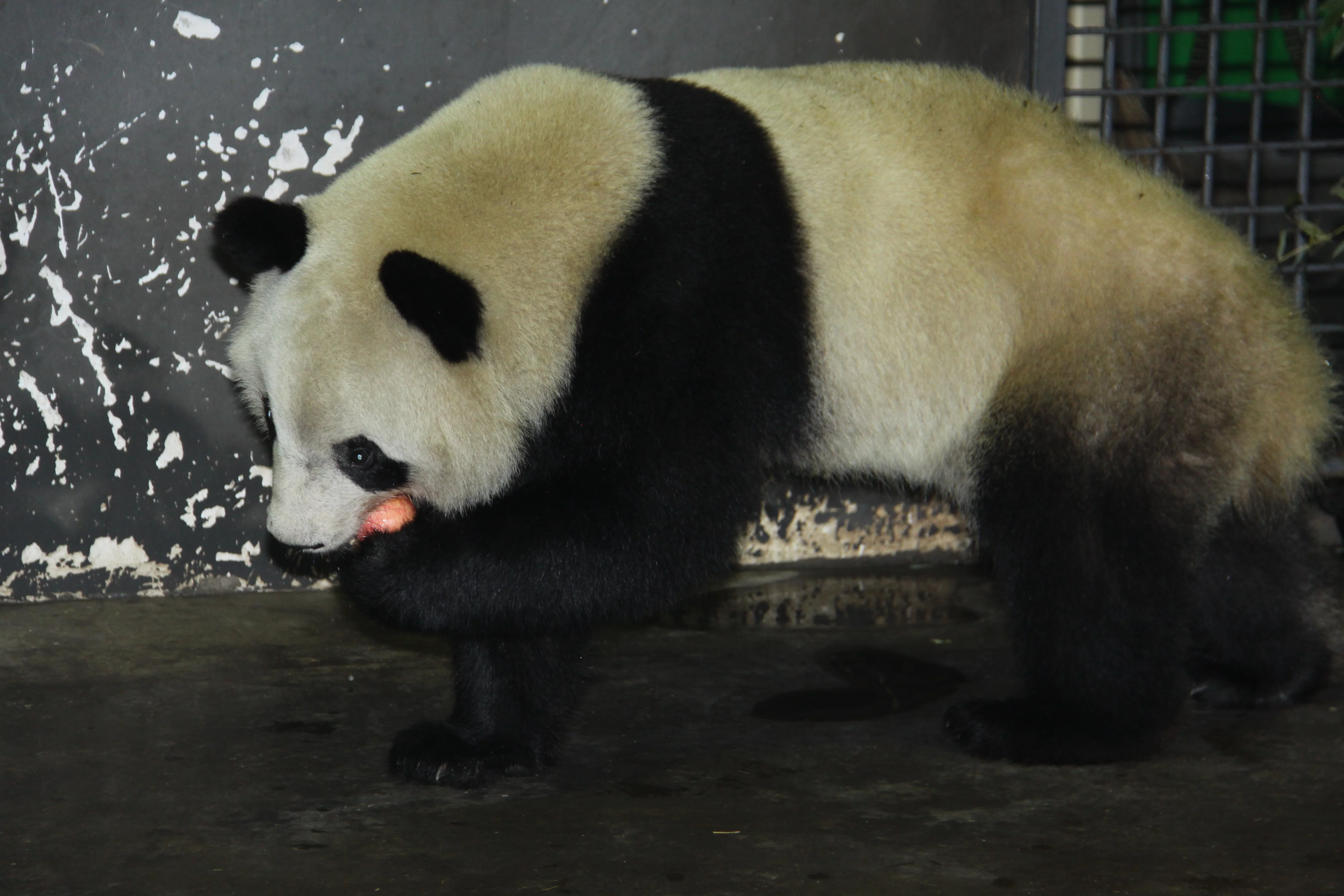 Changsha Ecological Zoo