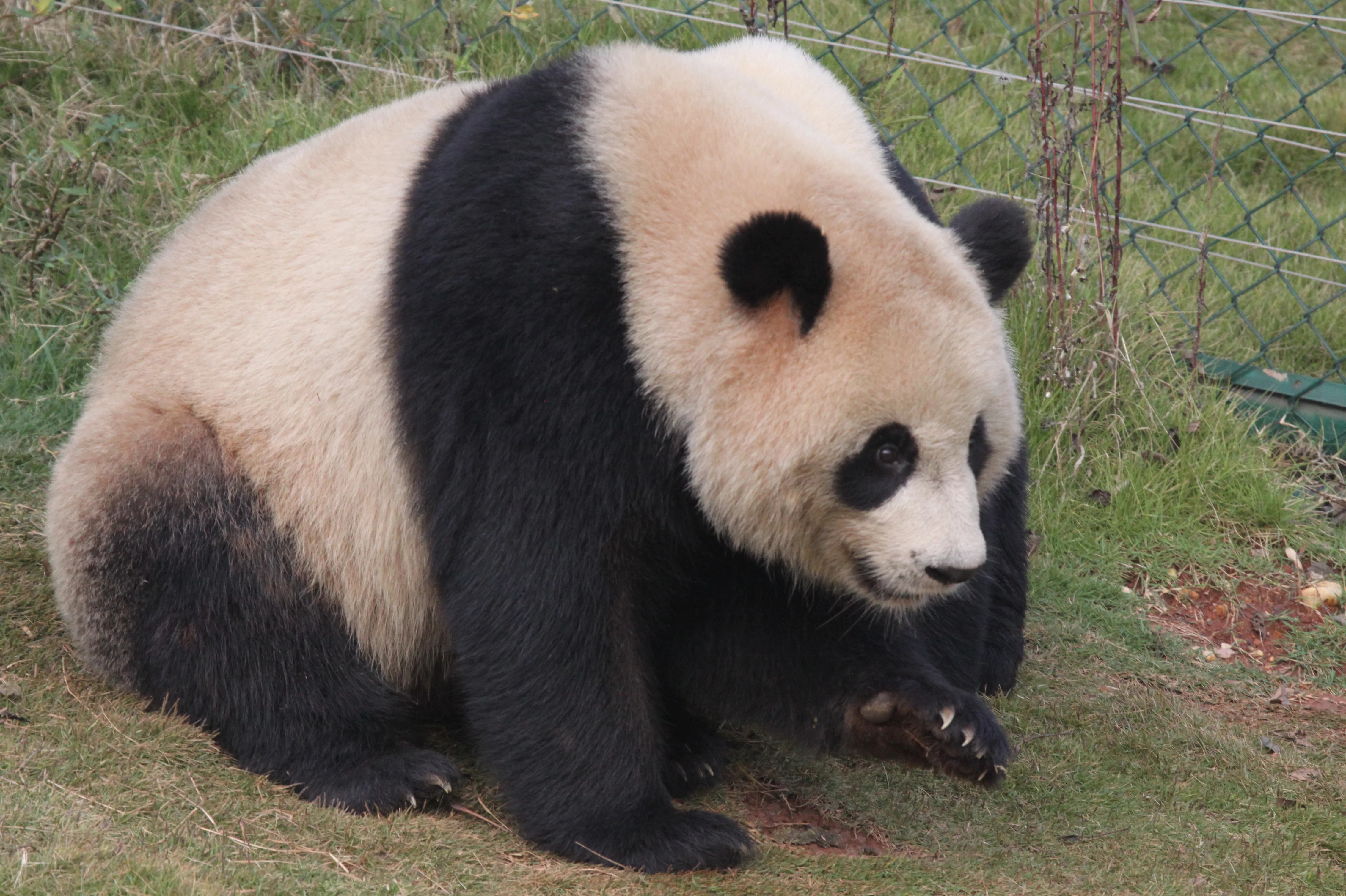 Changsha Ecological Zoo