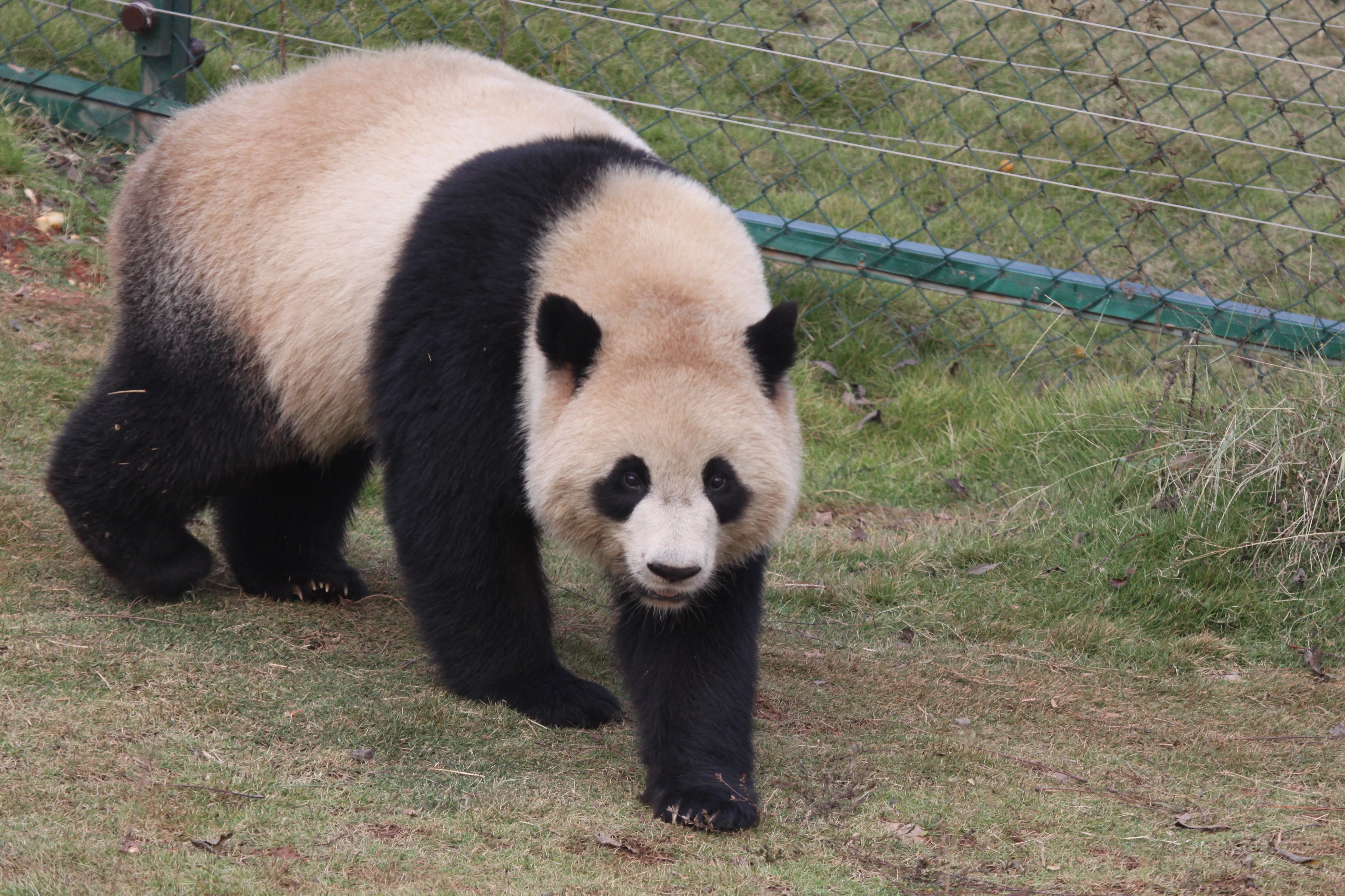 Changsha Ecological Zoo